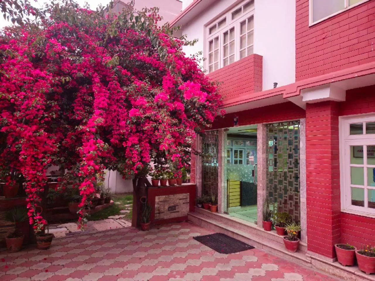 Garden in Hare Krishna House