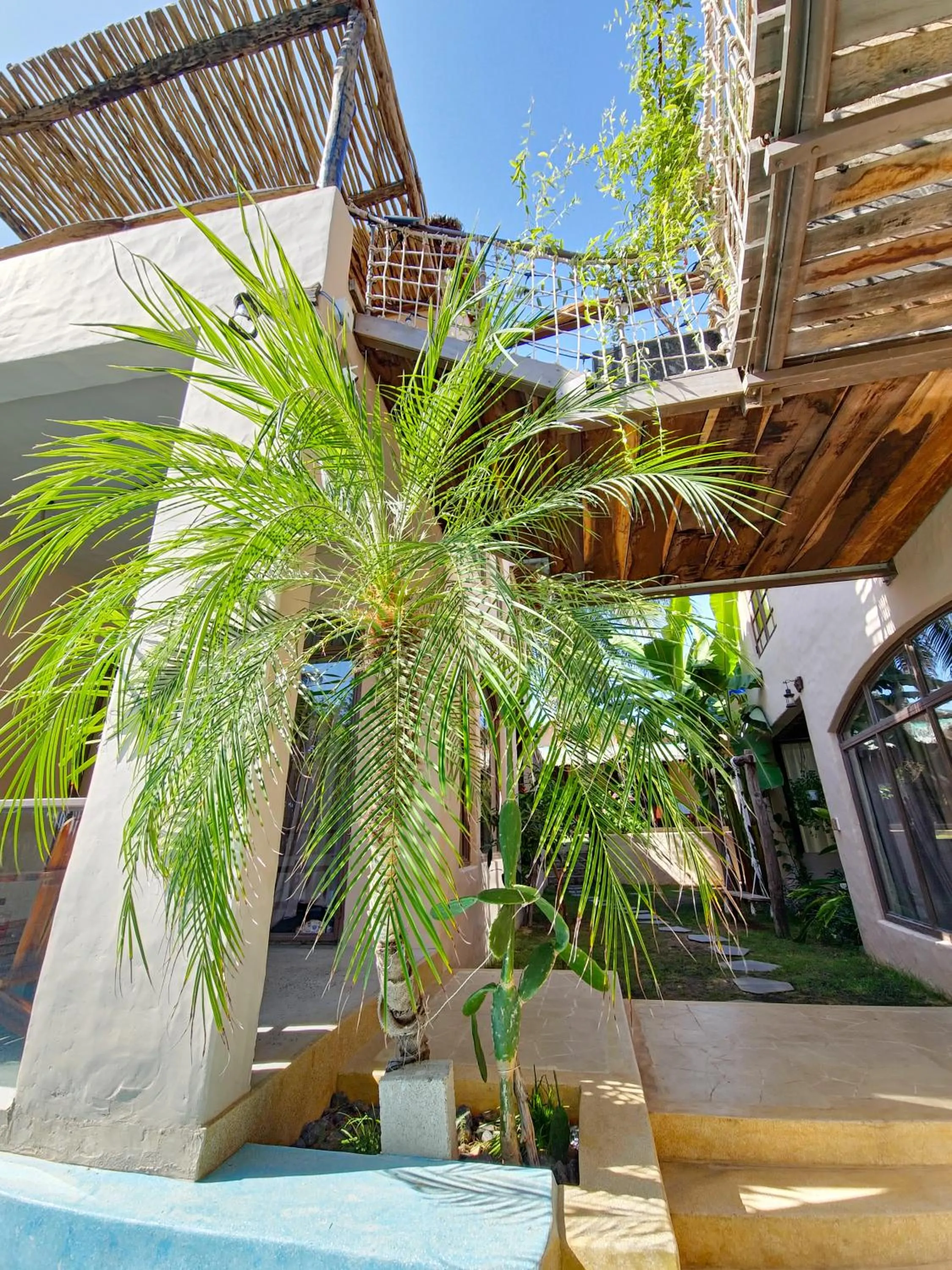 Garden in Red Sands Mui Ne