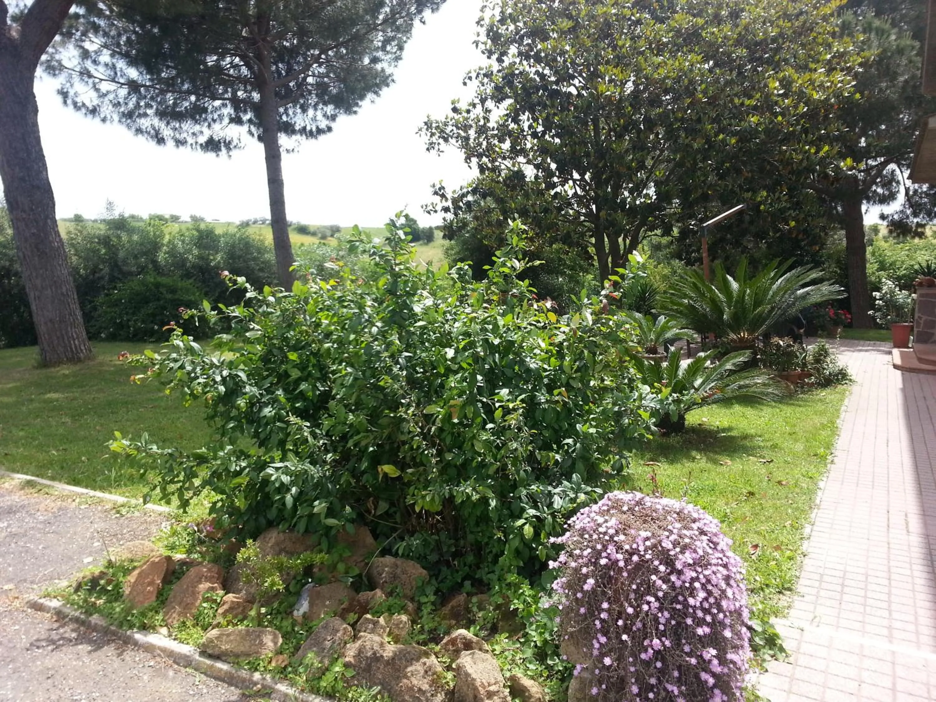 Garden in La Finestra Sul Cortile