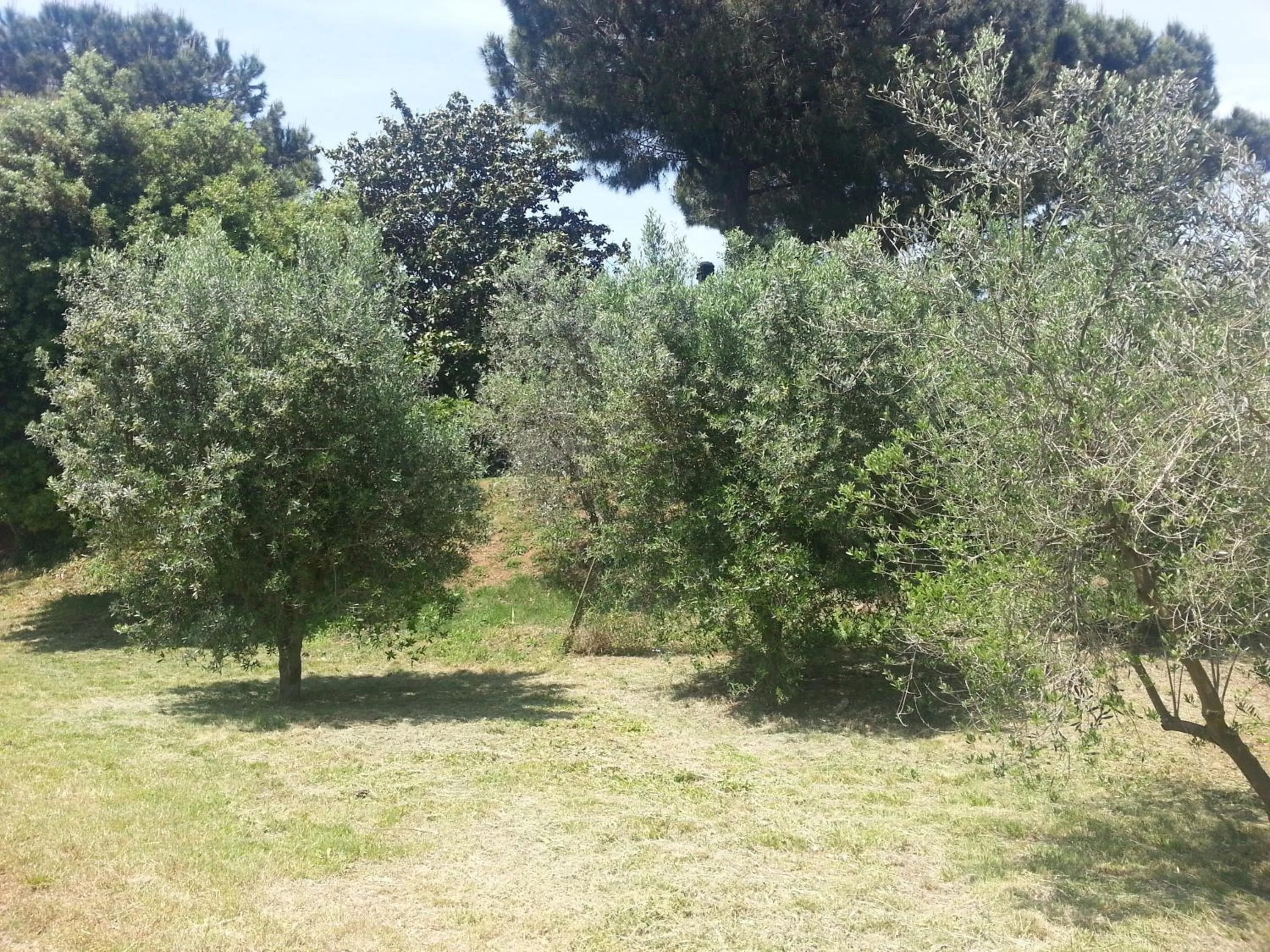 Day in La Finestra Sul Cortile