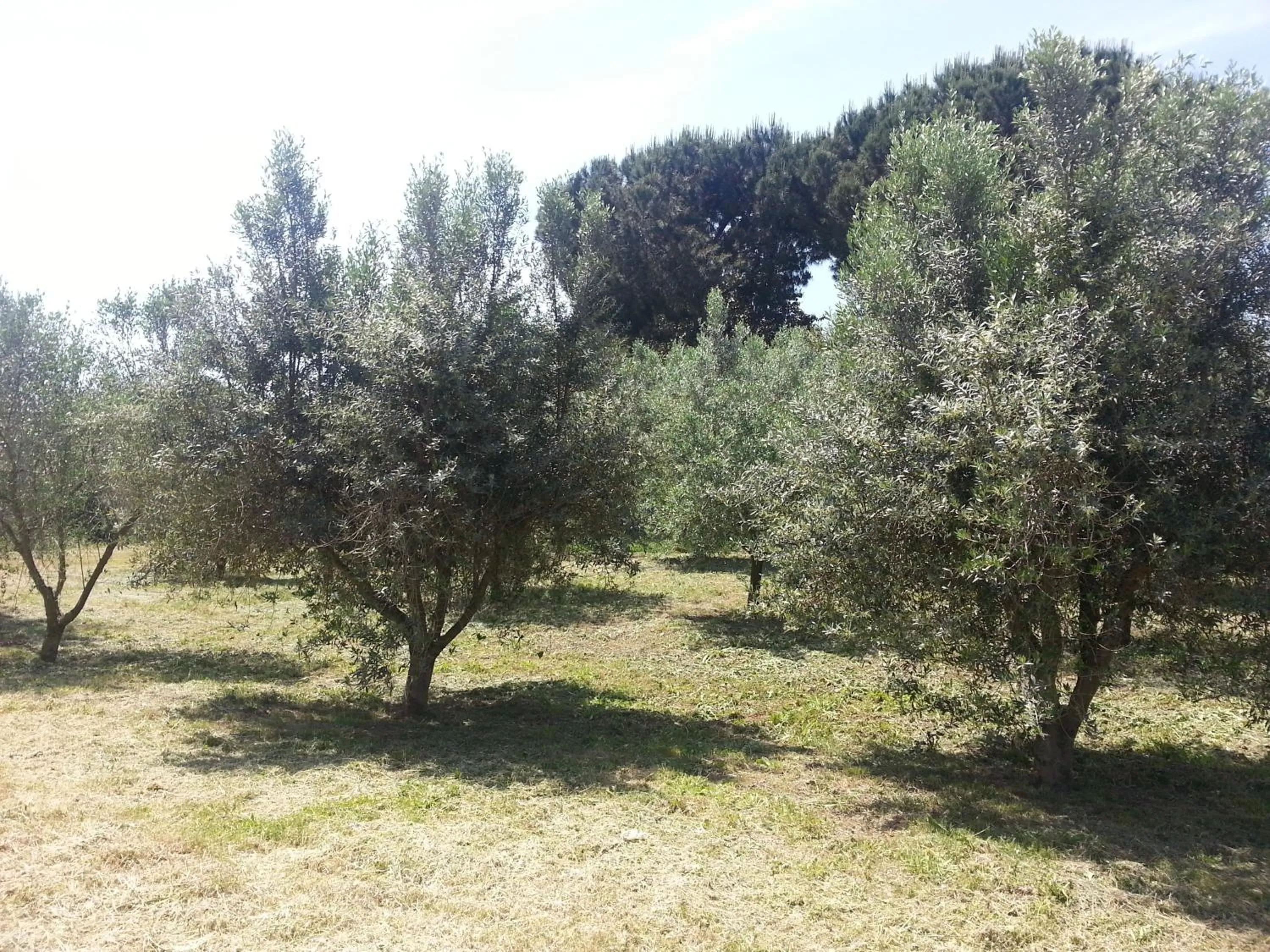 Area and facilities in La Finestra Sul Cortile