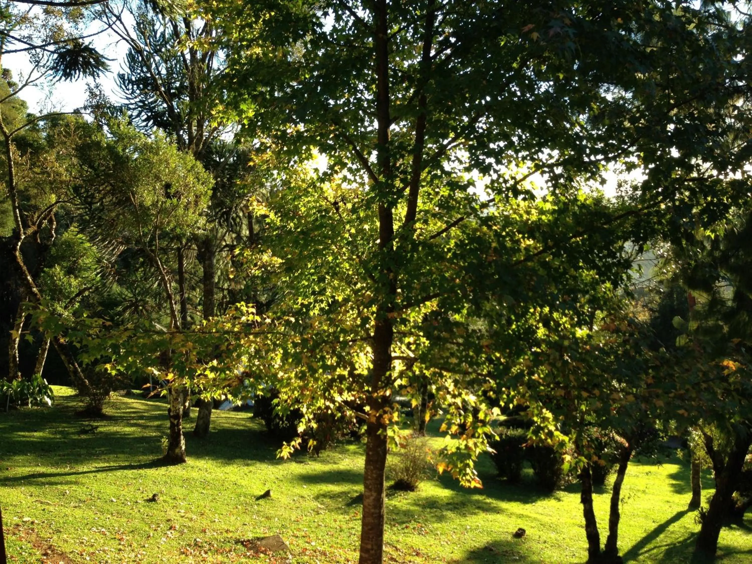 Garden in Hospedagem Spa da Alma