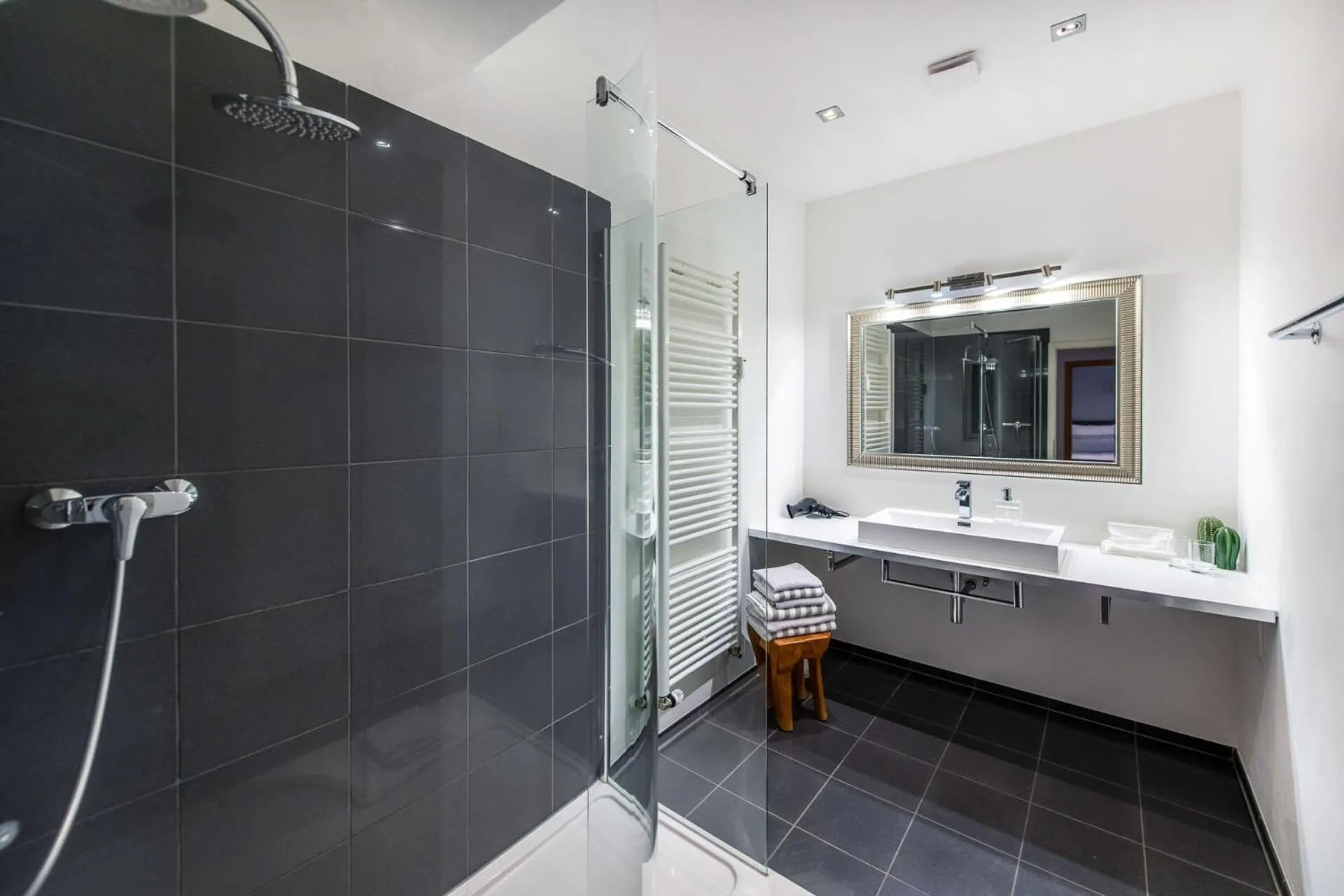 Shower in Ferienwohnung Koblenz Altstadt