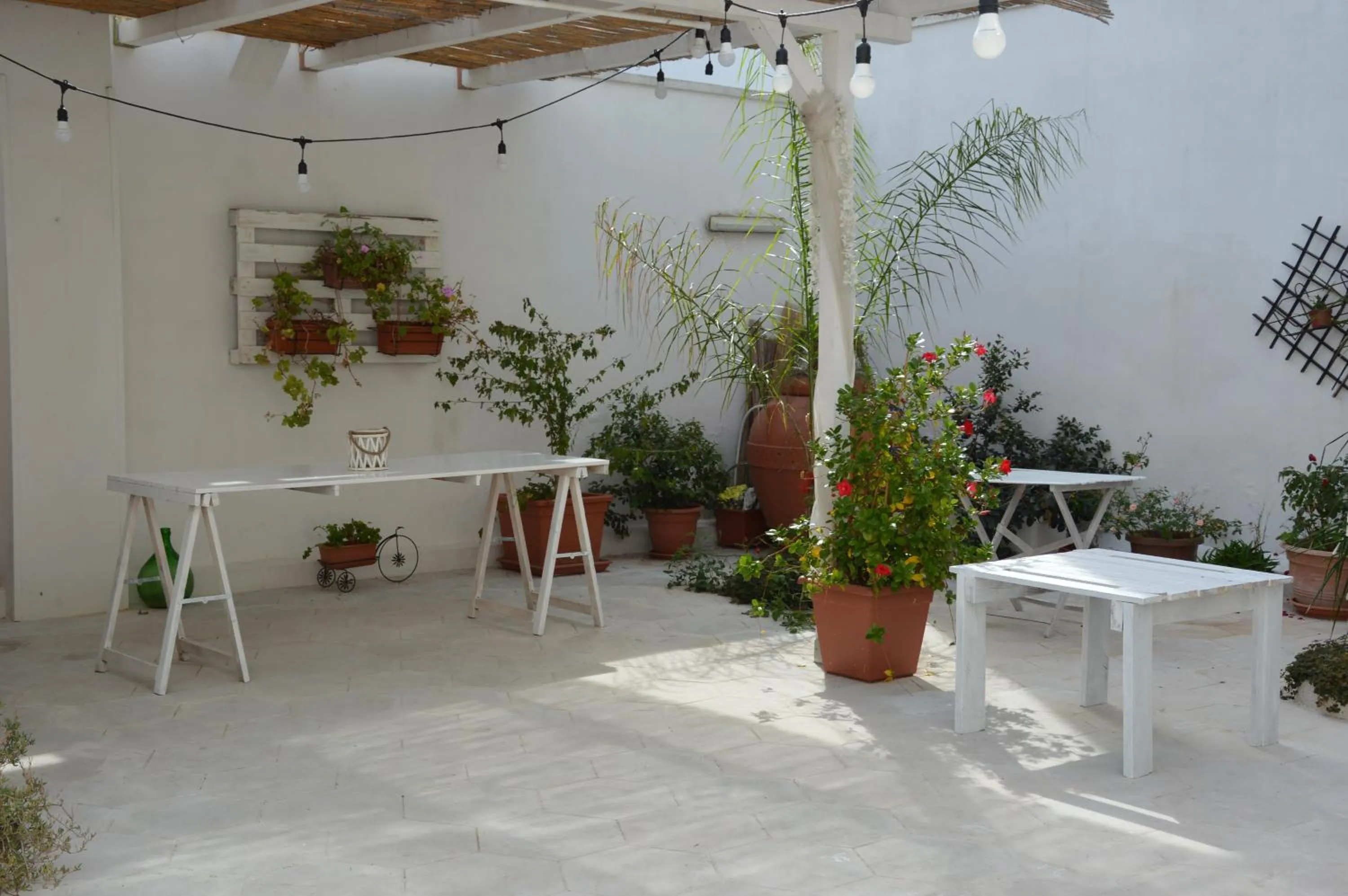 Garden in A Casa di Mich