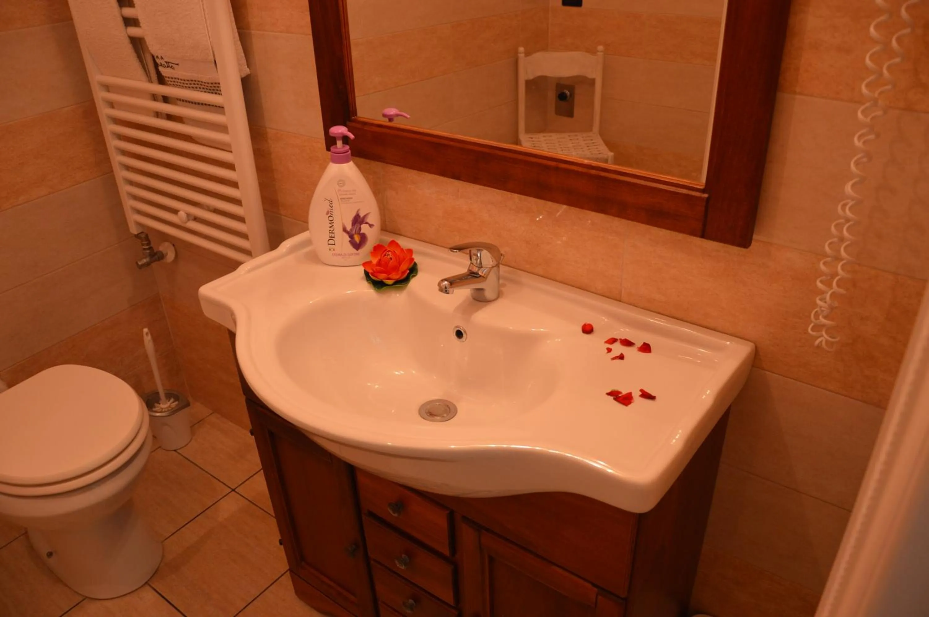 Toilet in A Casa di Mich