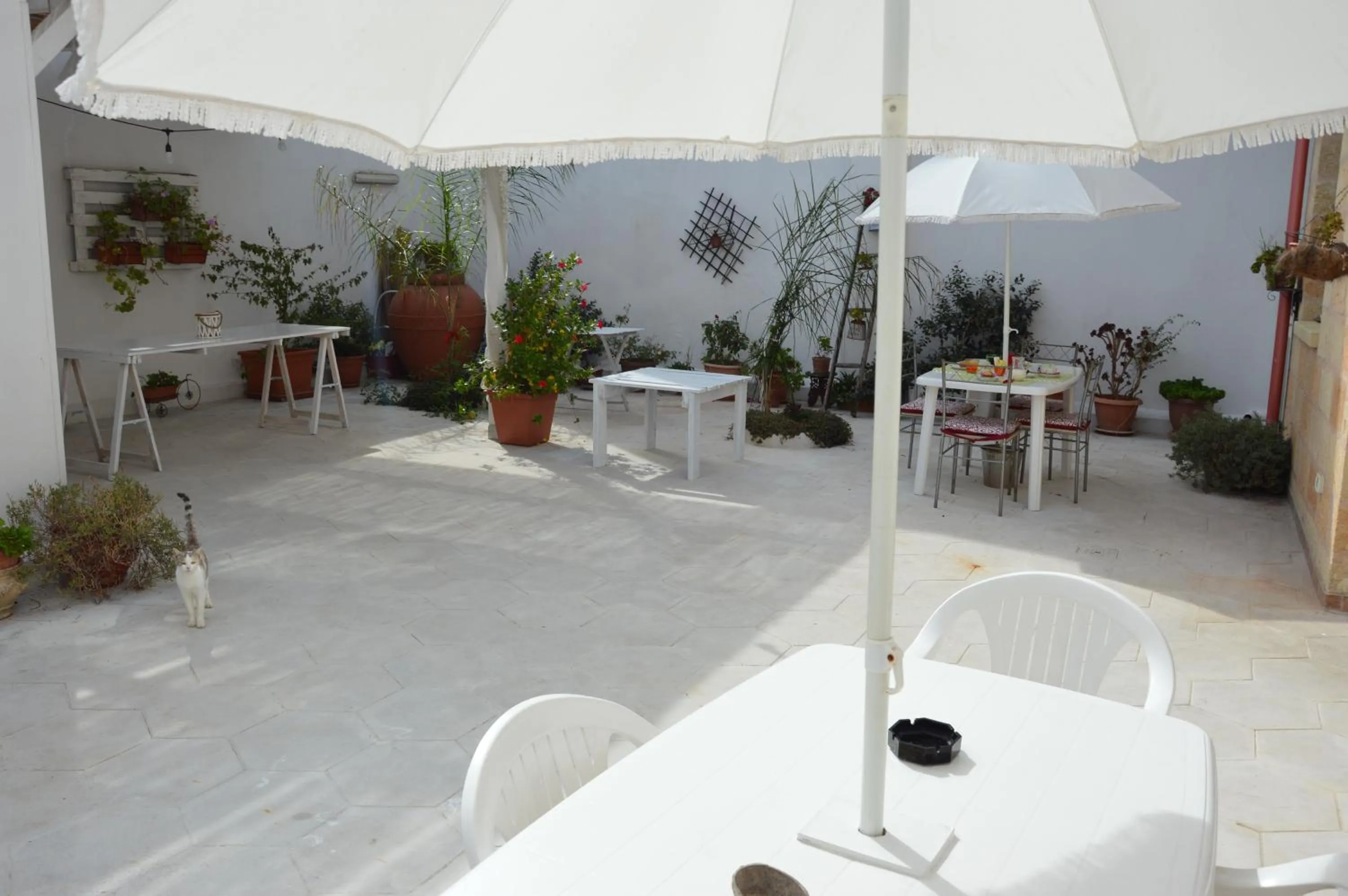 Garden in A Casa di Mich