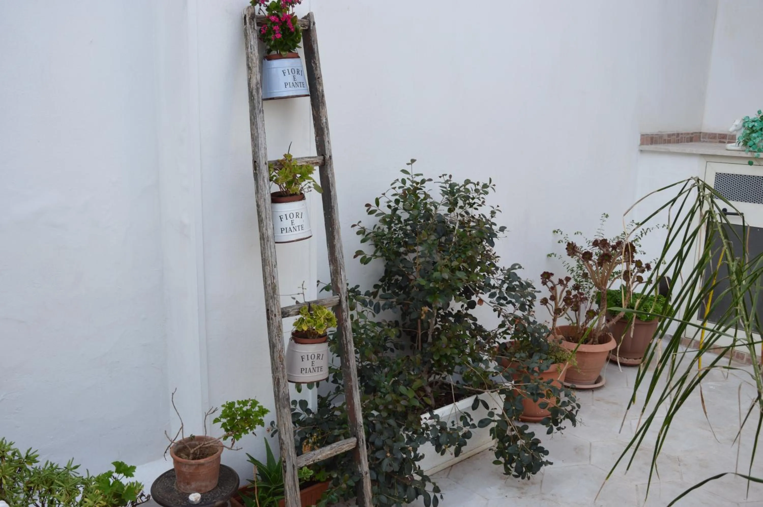 Garden in A Casa di Mich