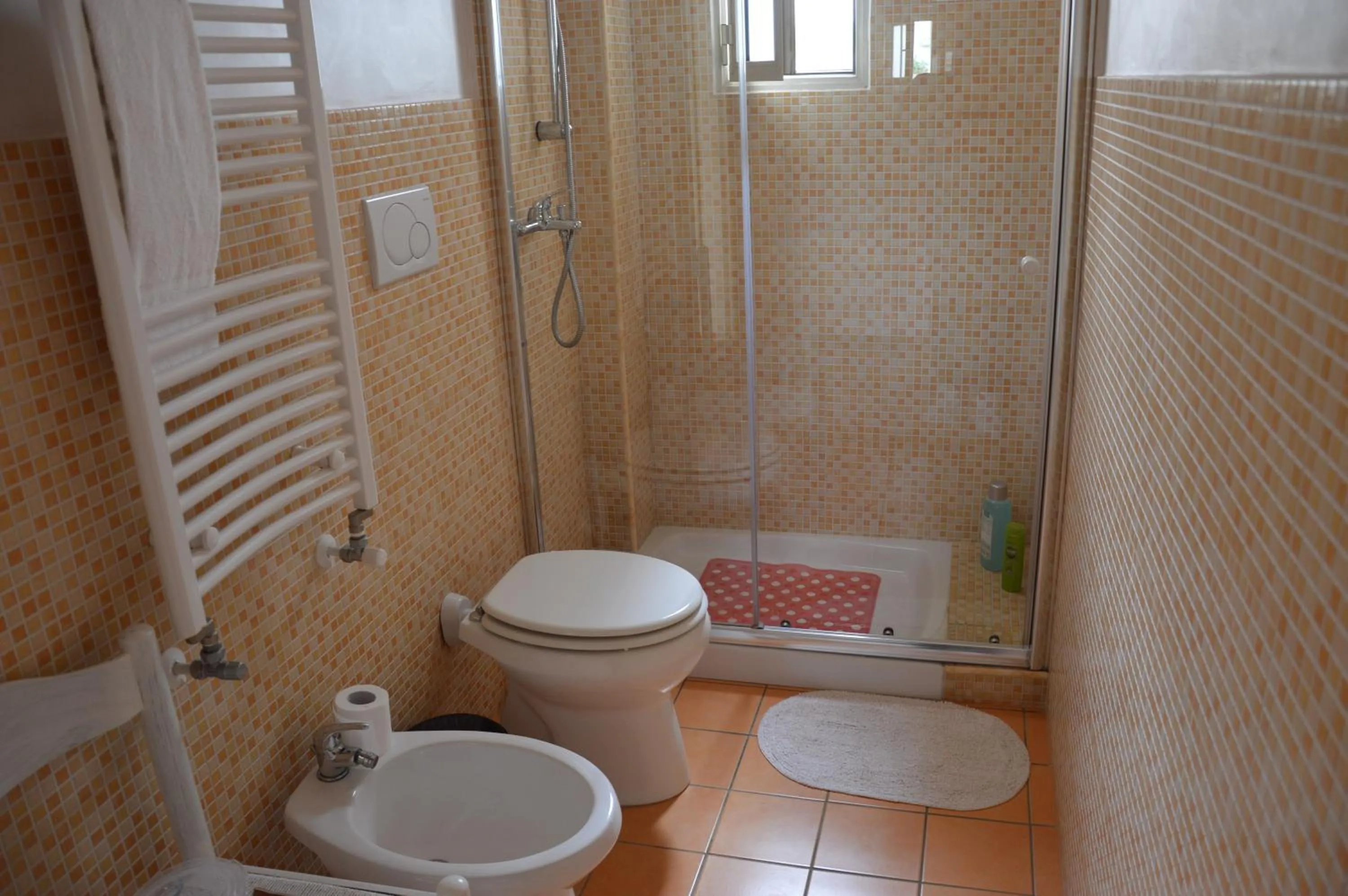 Toilet in A Casa di Mich