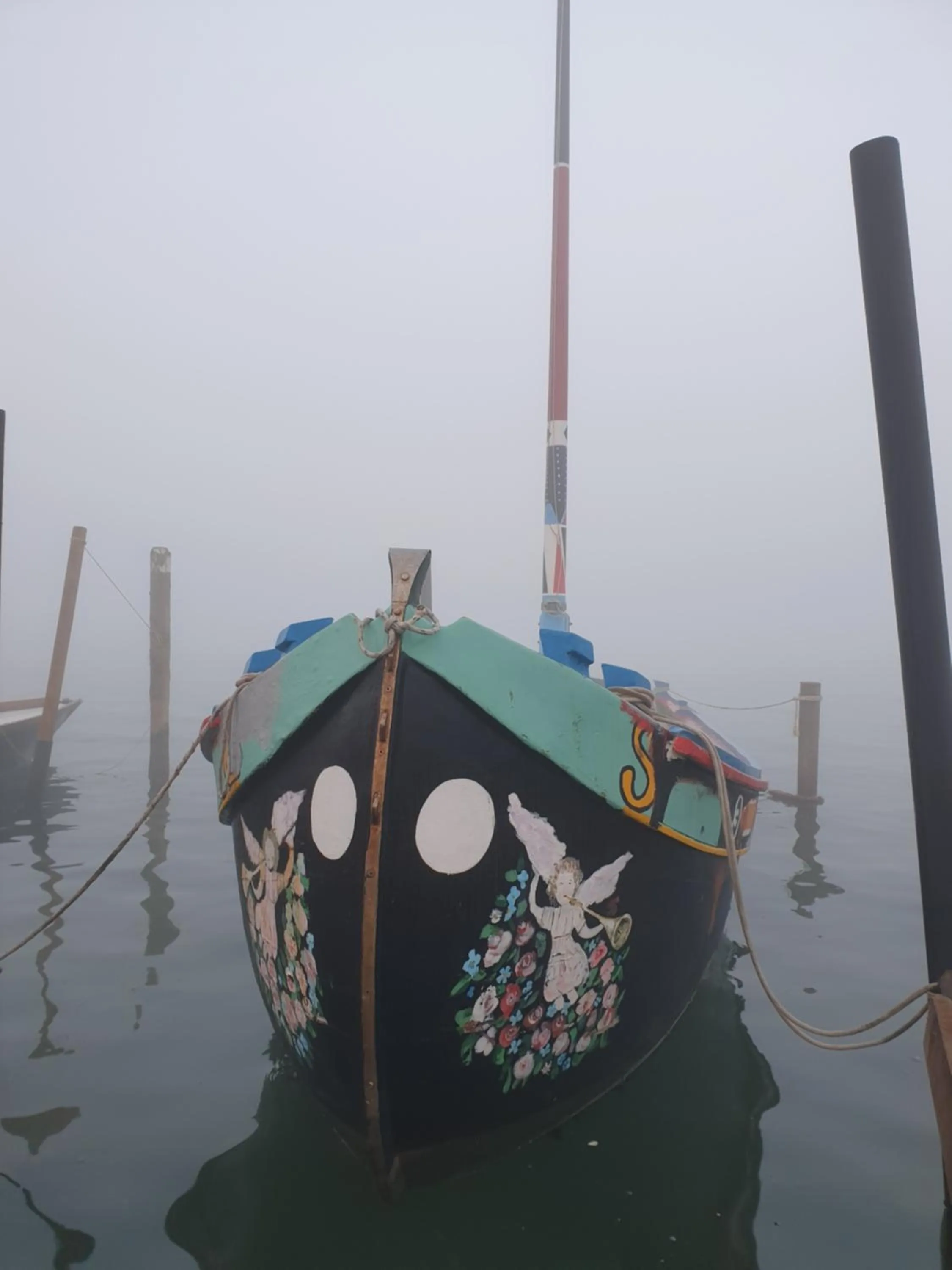 Natural landscape in Casa Mafalda