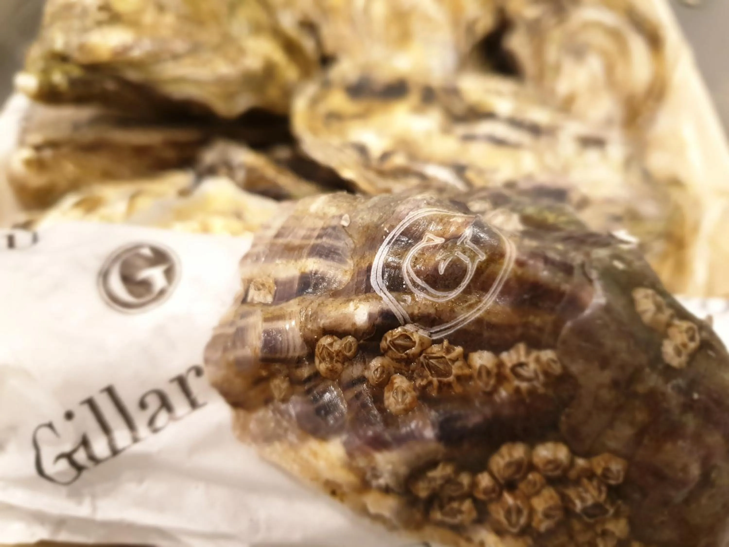 Food and drinks in Casa Mafalda