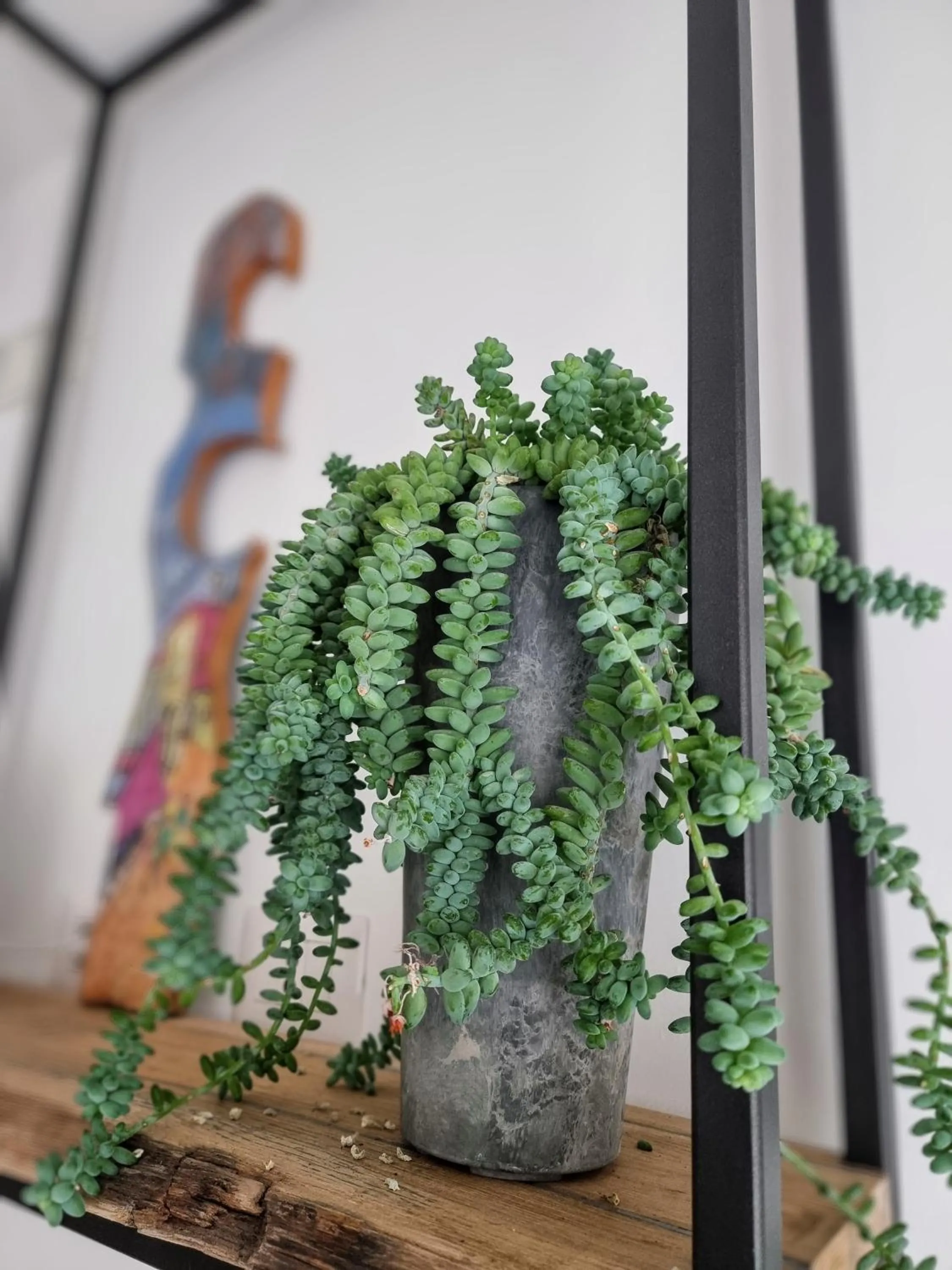 Decorative detail in Casa Mafalda