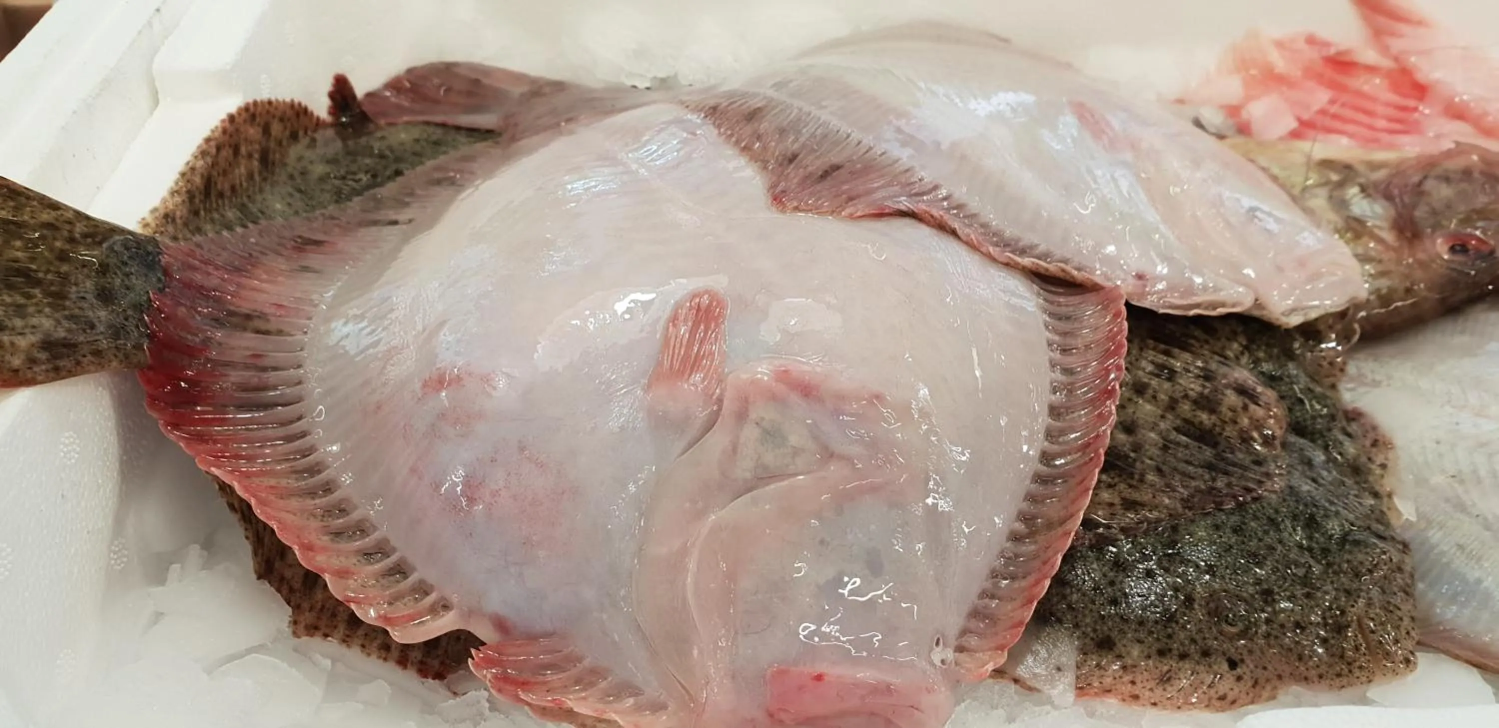 Food close-up in Casa Mafalda