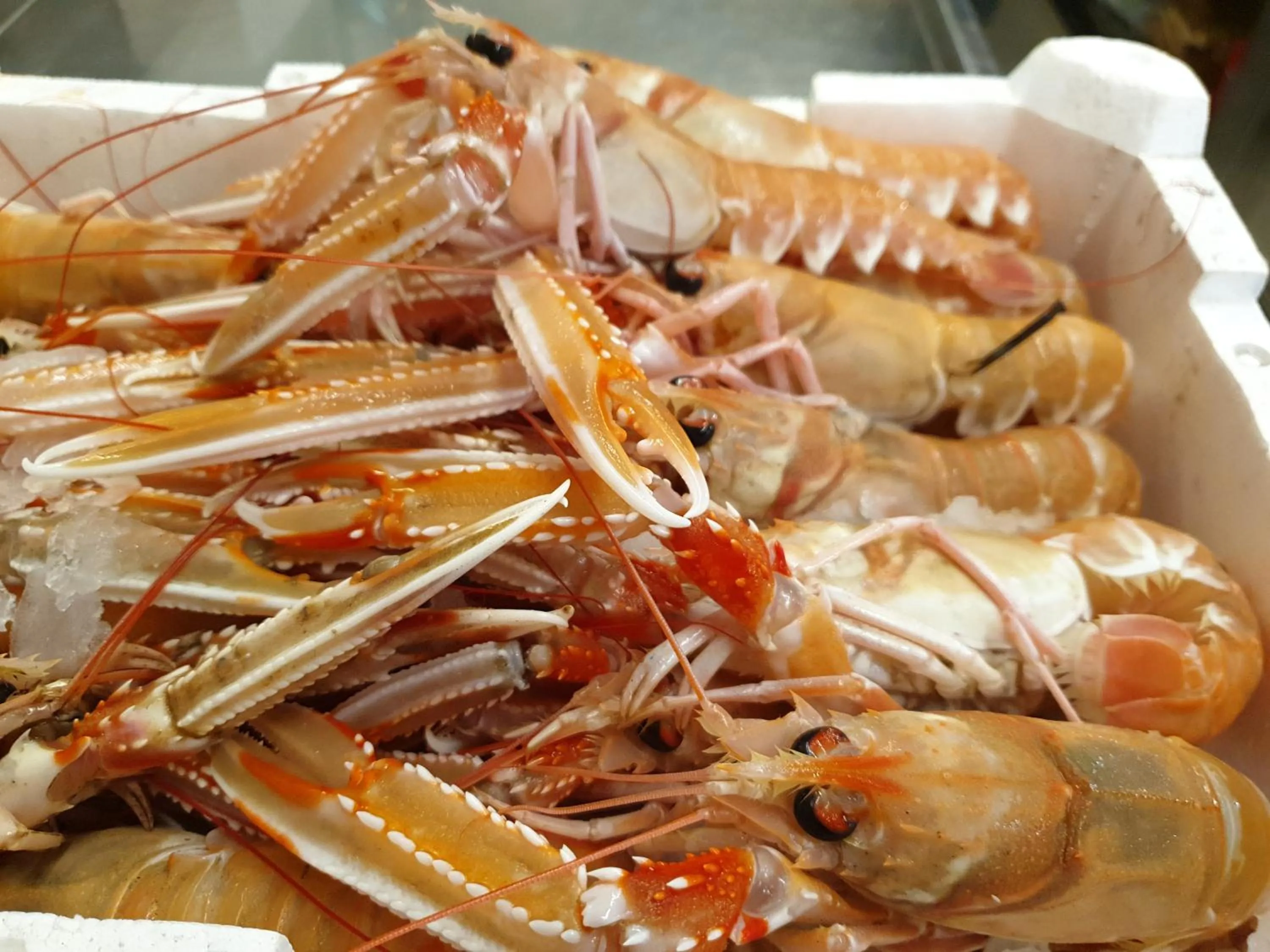 Food in Casa Mafalda