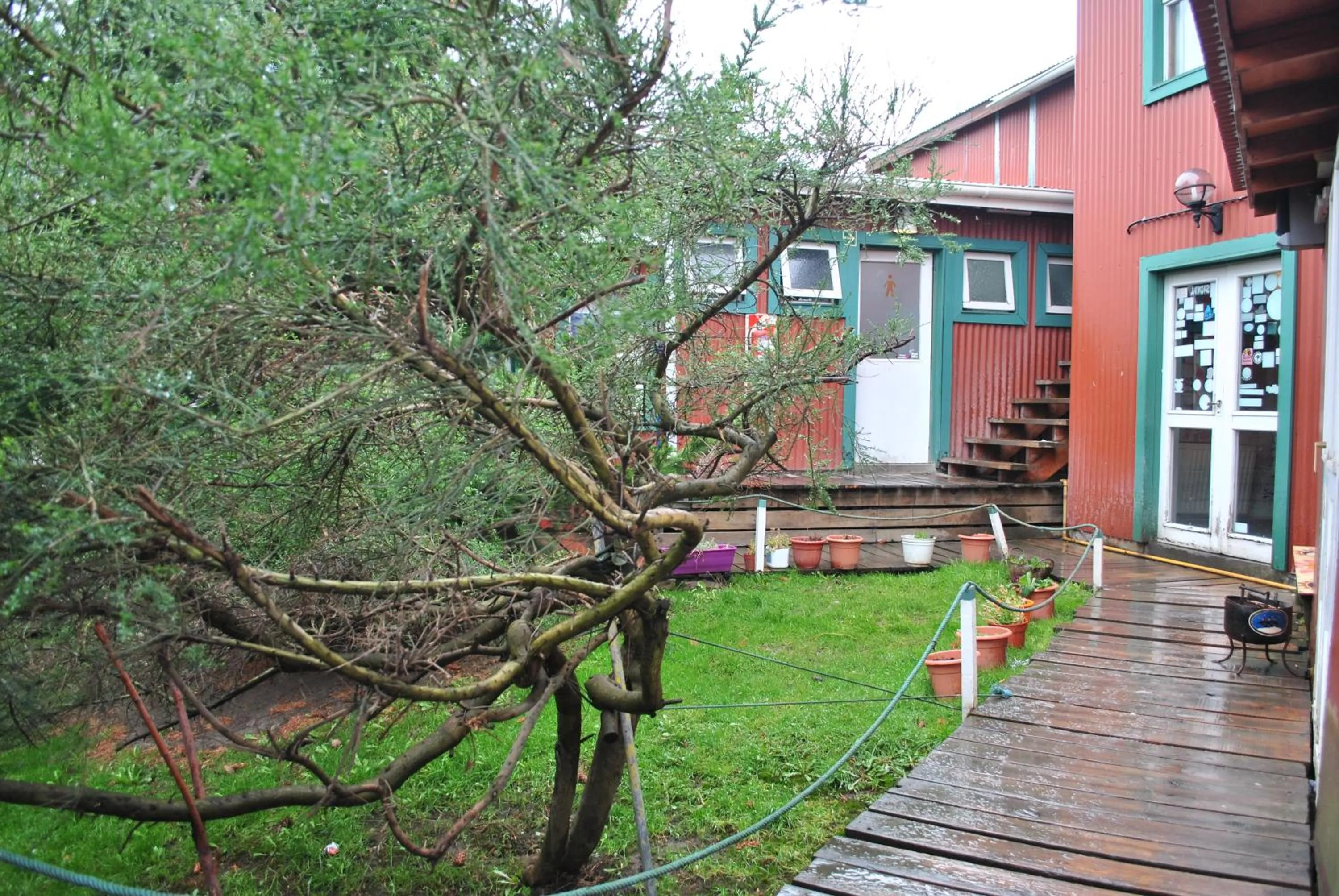 Patio in Hostel Los Cormoranes