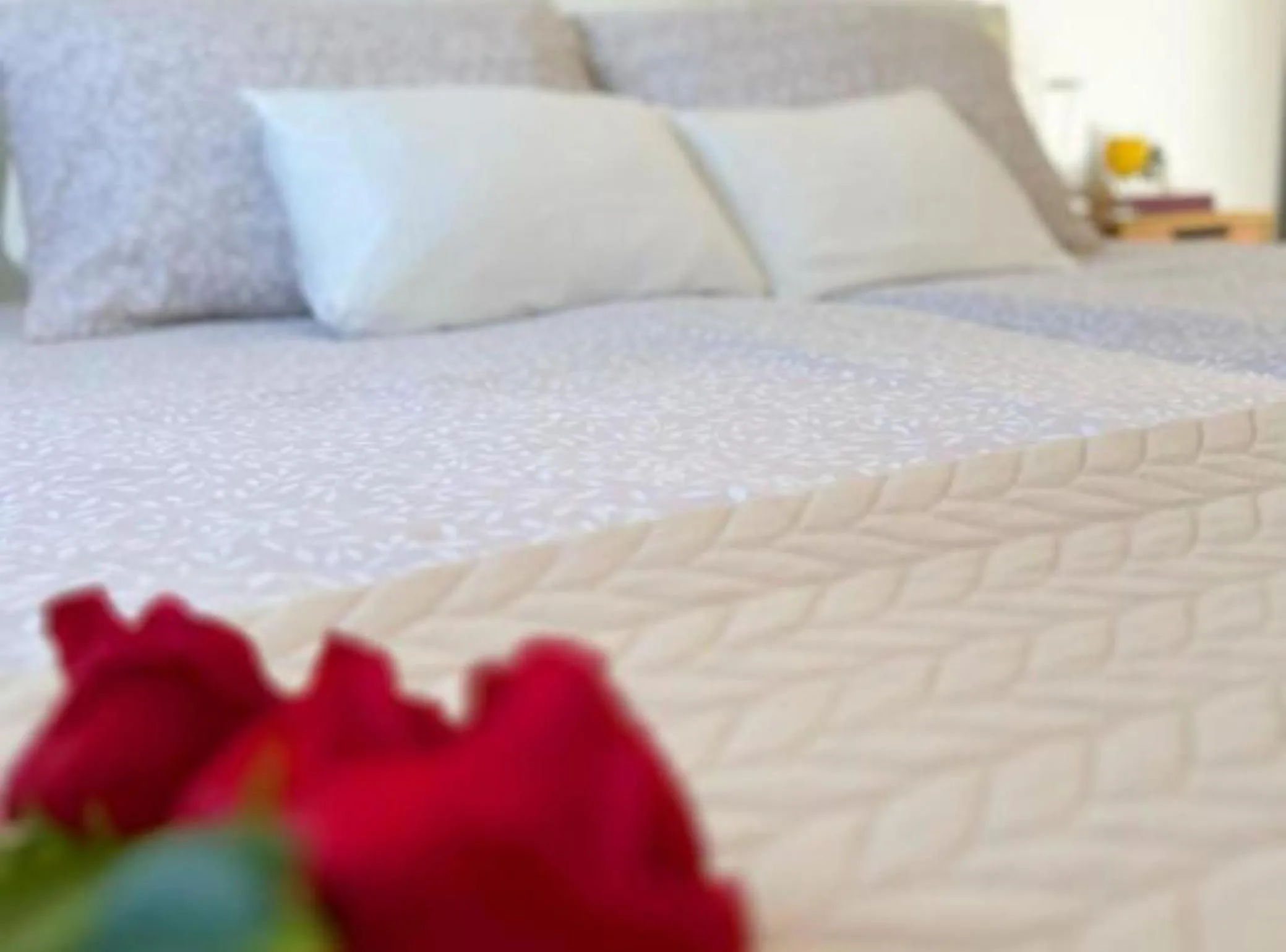 APARTMAN "Kuća za odmor Vera"