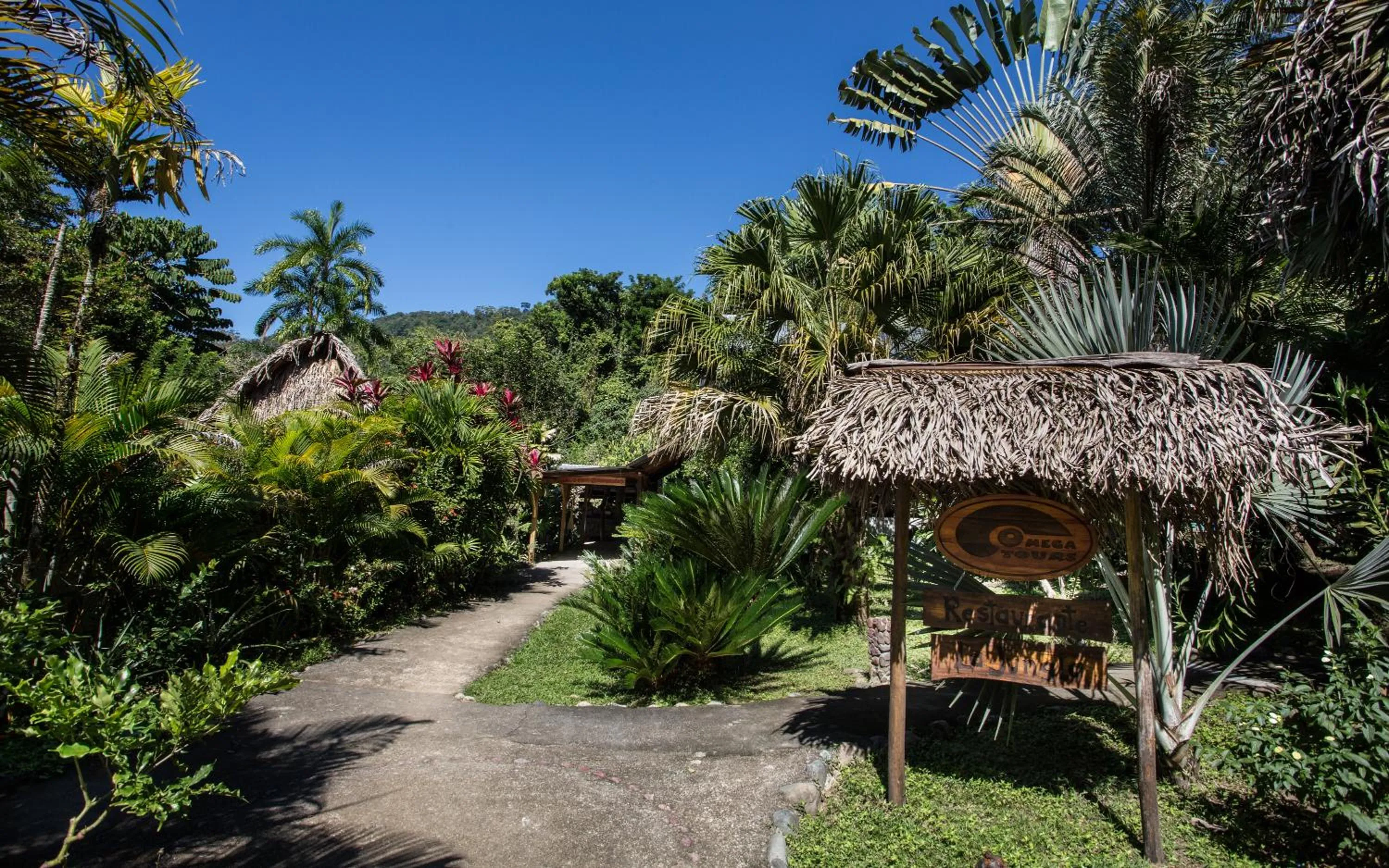 Patio in Omega Tours Eco-Jungle Lodge