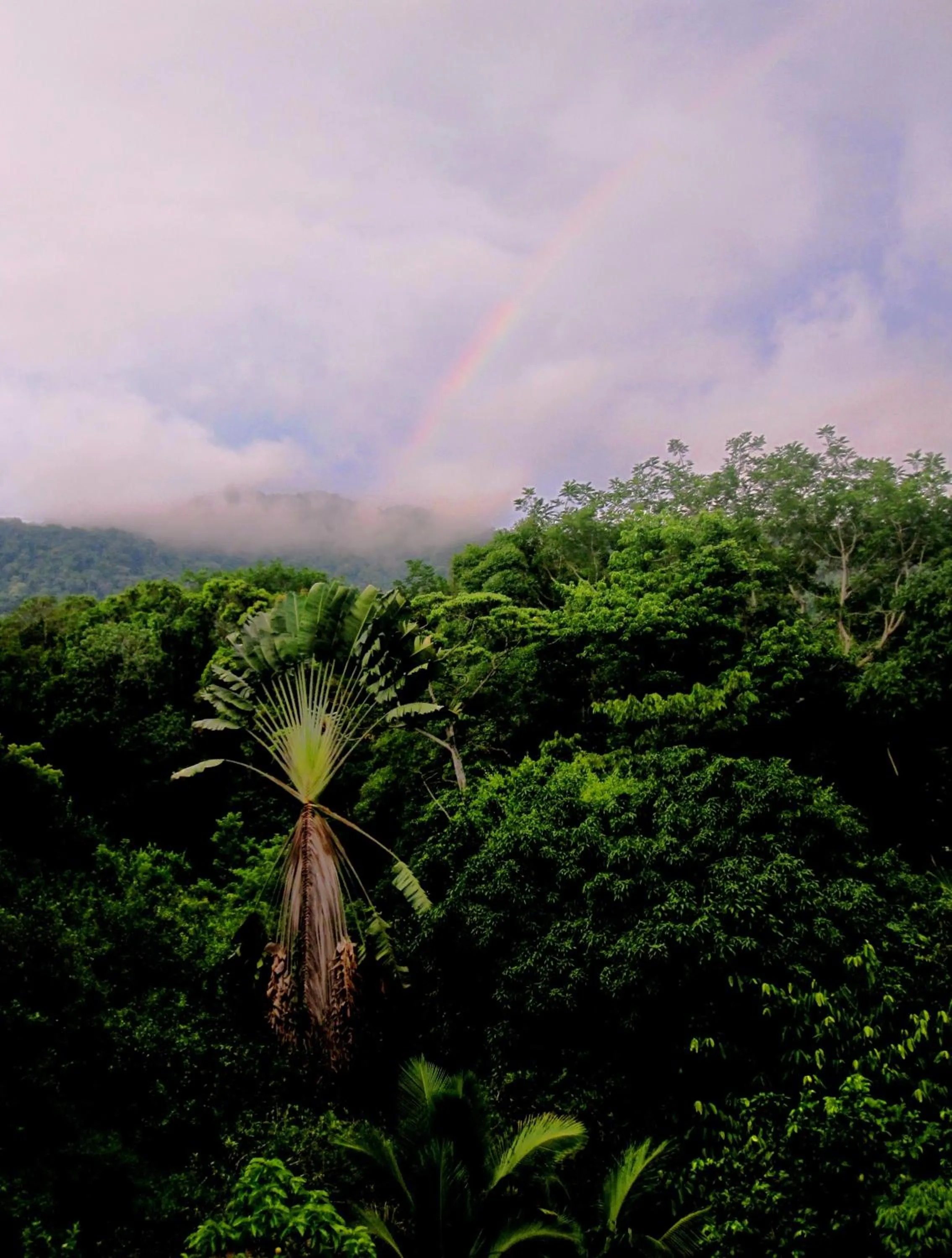 On site in Omega Tours Eco-Jungle Lodge