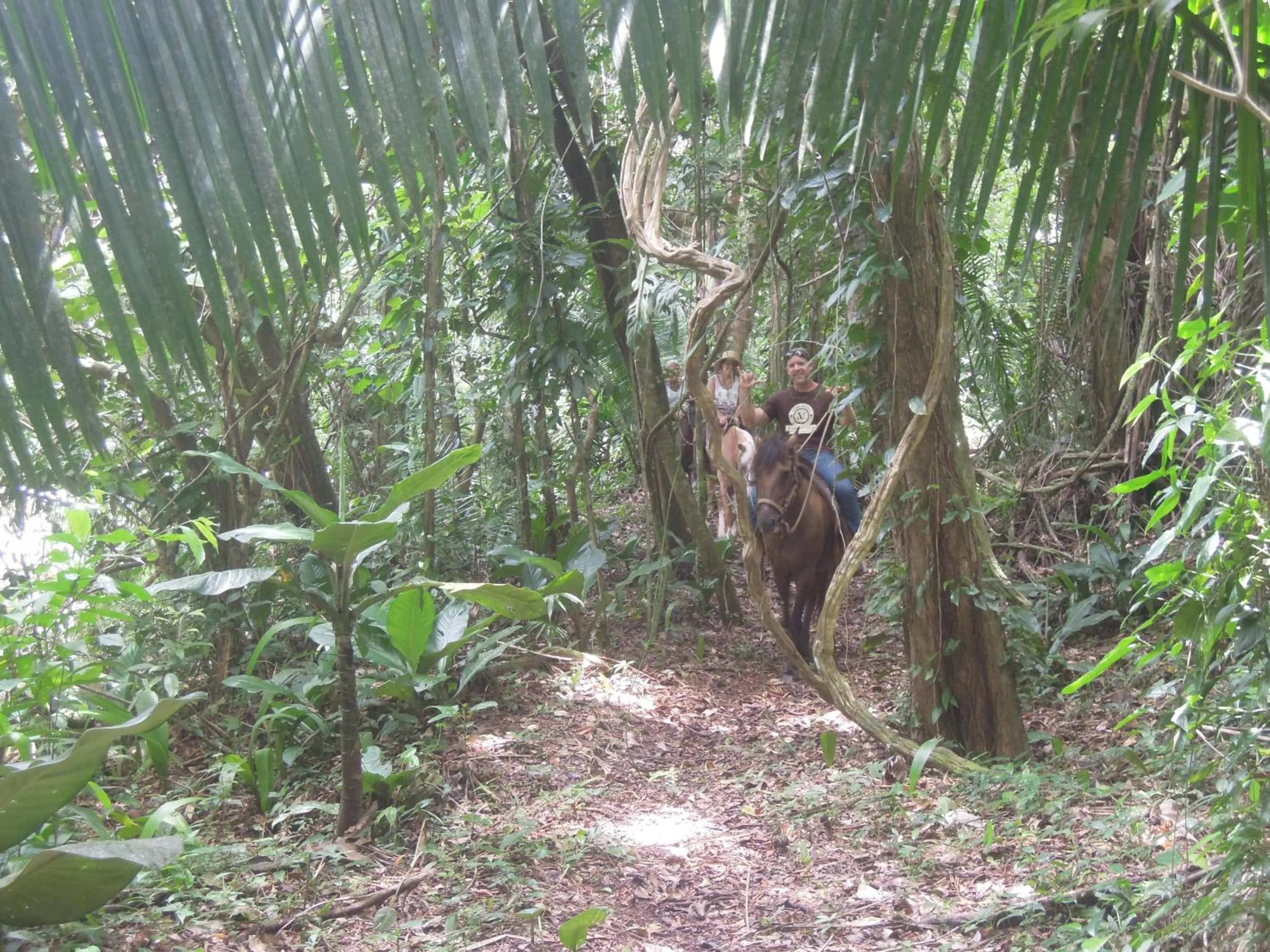 Horse-riding in Omega Tours Eco-Jungle Lodge