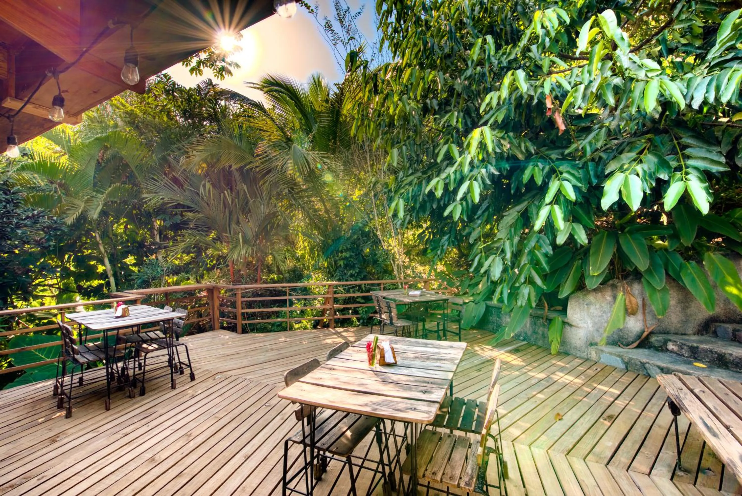 Balcony/Terrace in Omega Tours Eco-Jungle Lodge