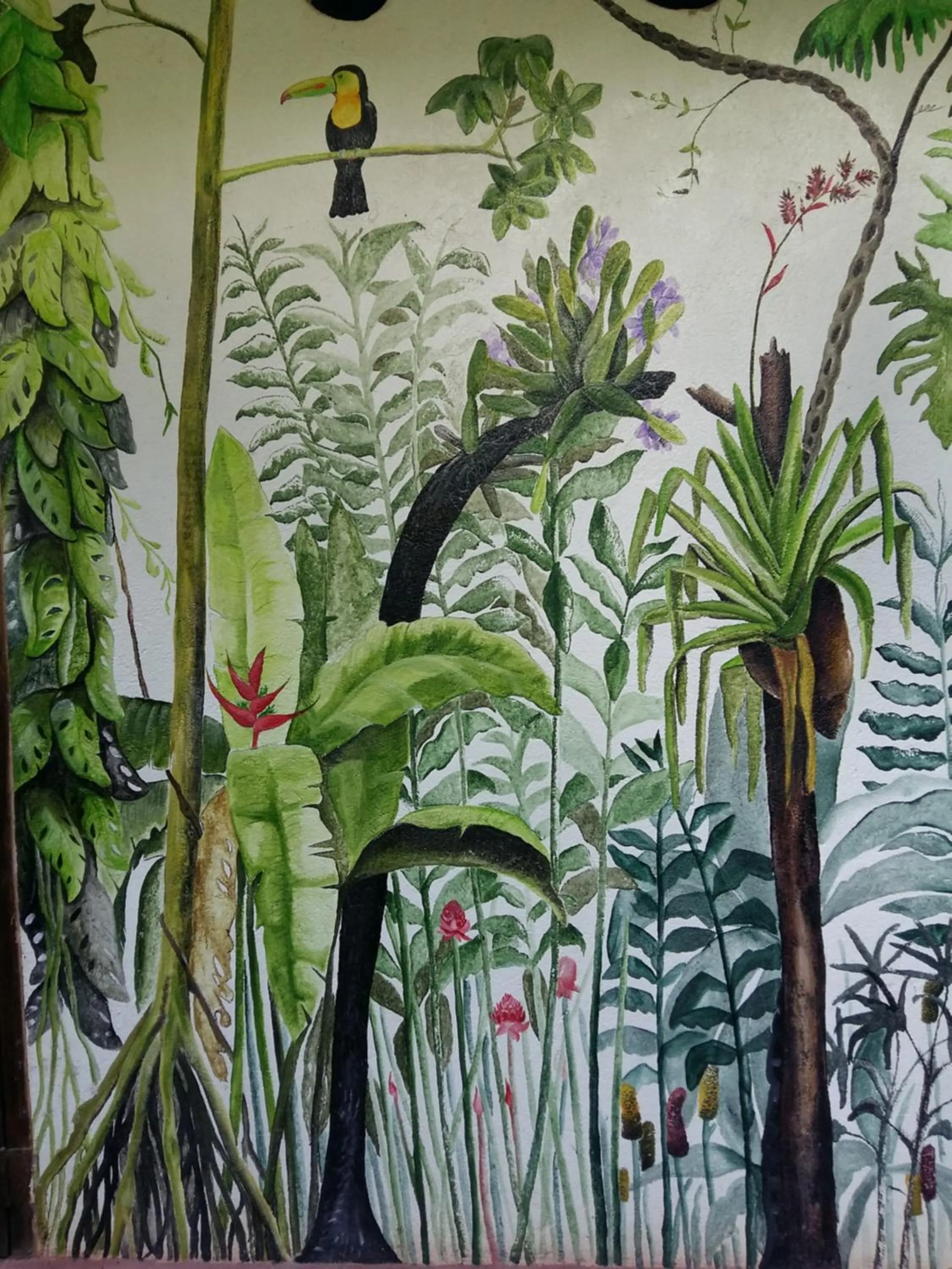 Balcony/Terrace in Omega Tours Eco-Jungle Lodge