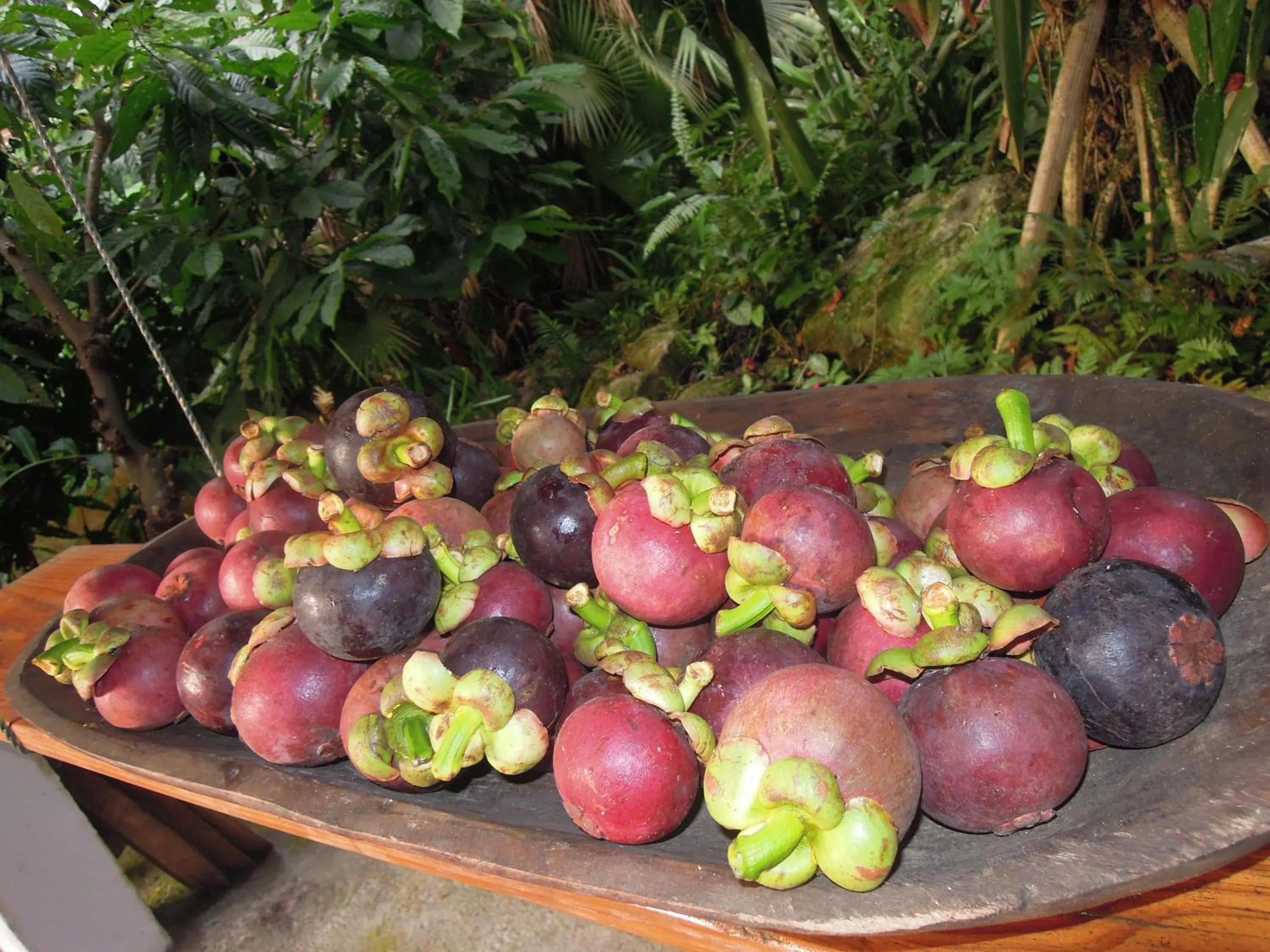 Restaurant/places to eat in Omega Tours Eco-Jungle Lodge