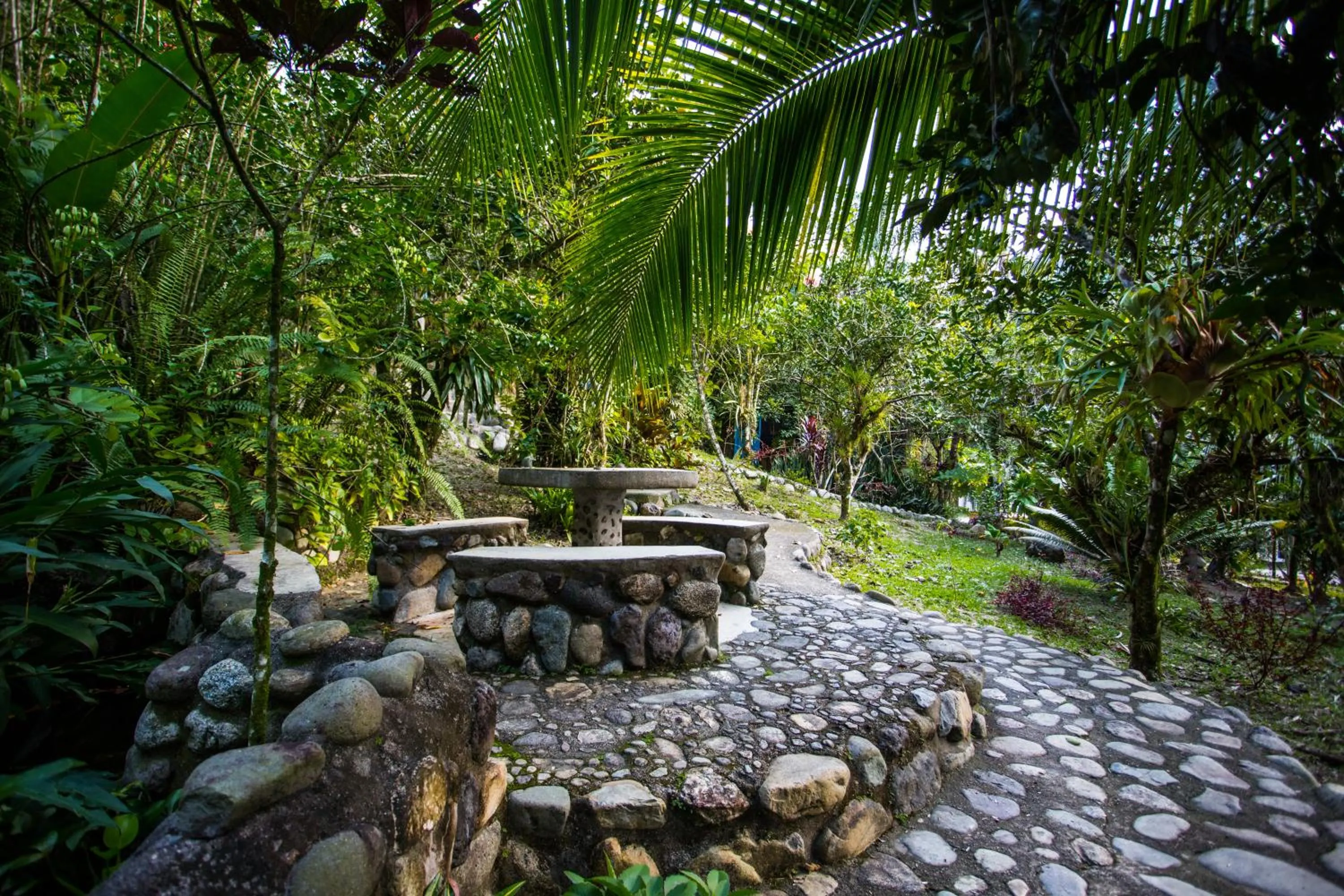Garden in Omega Tours Eco-Jungle Lodge