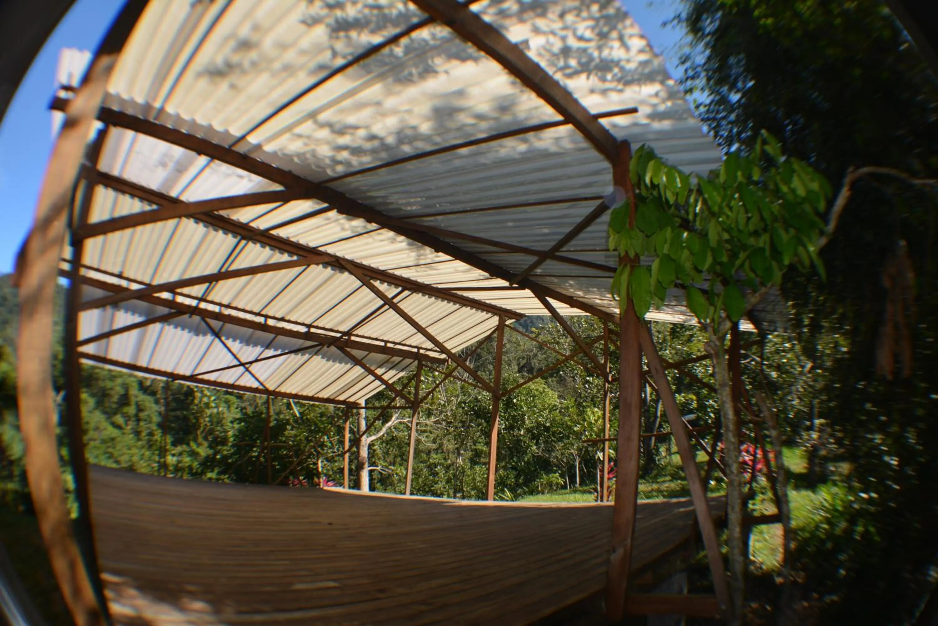 Spa and wellness centre/facilities in Omega Tours Eco-Jungle Lodge