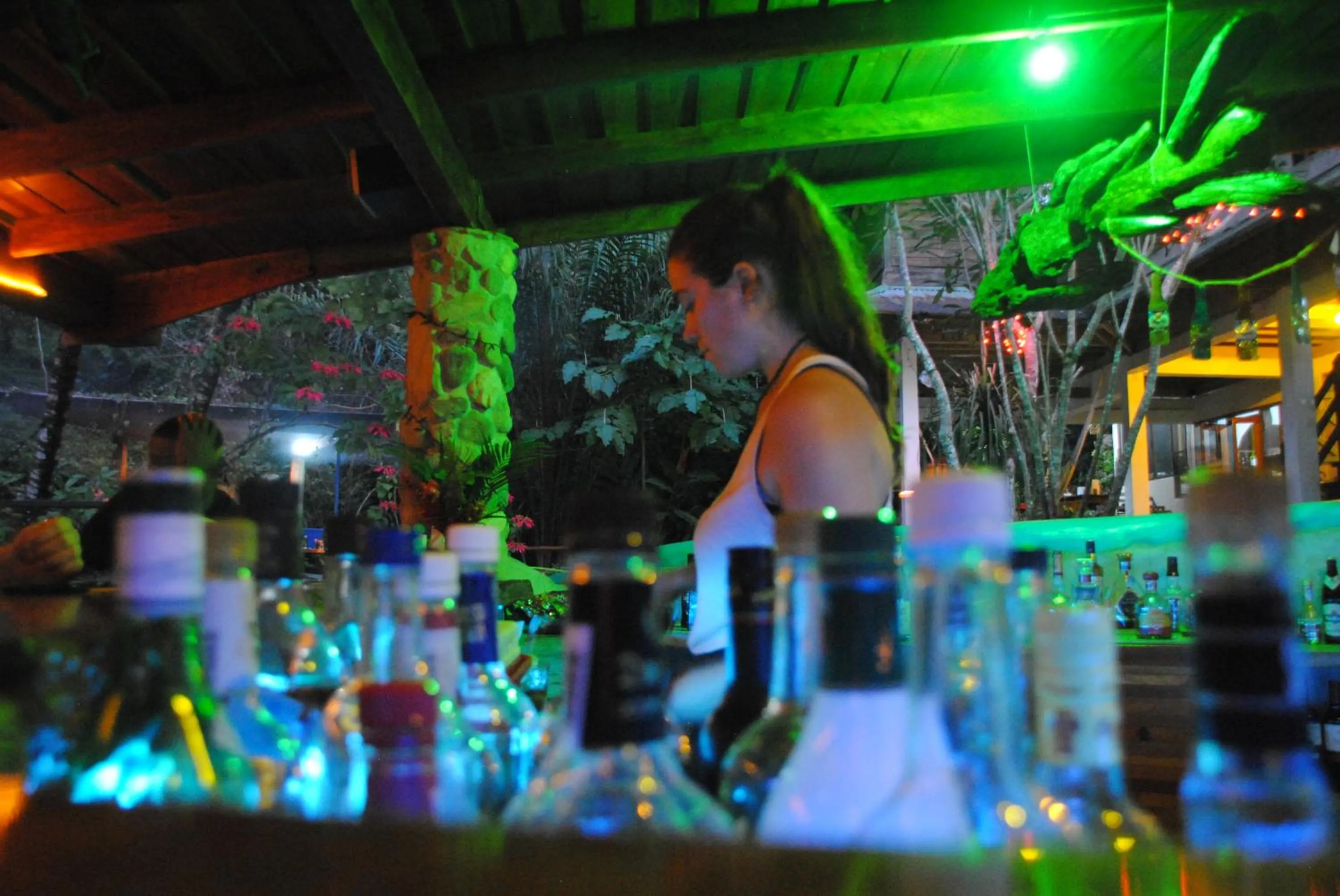 Lounge or bar in Omega Tours Eco-Jungle Lodge