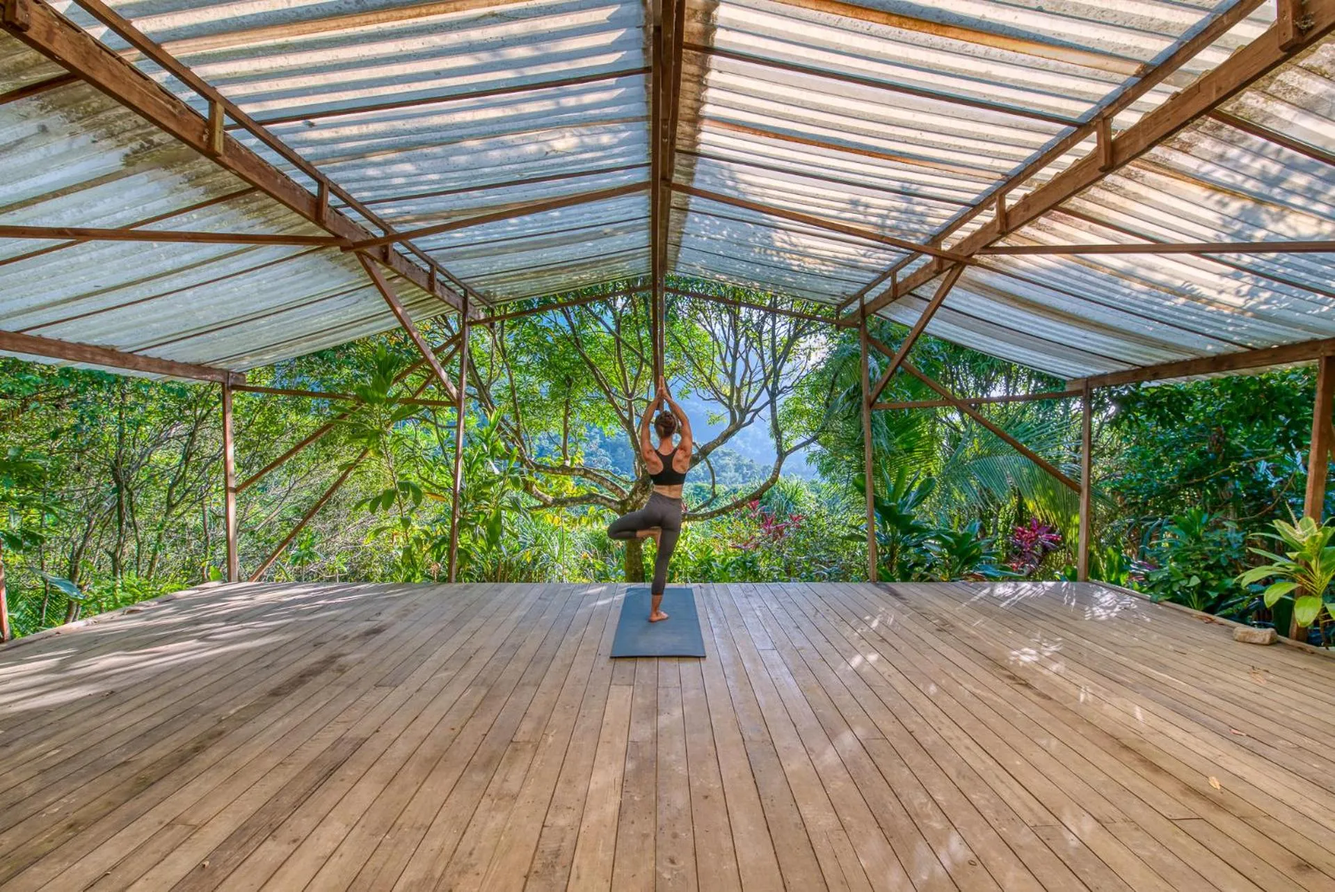 Natural landscape in Omega Tours Eco-Jungle Lodge