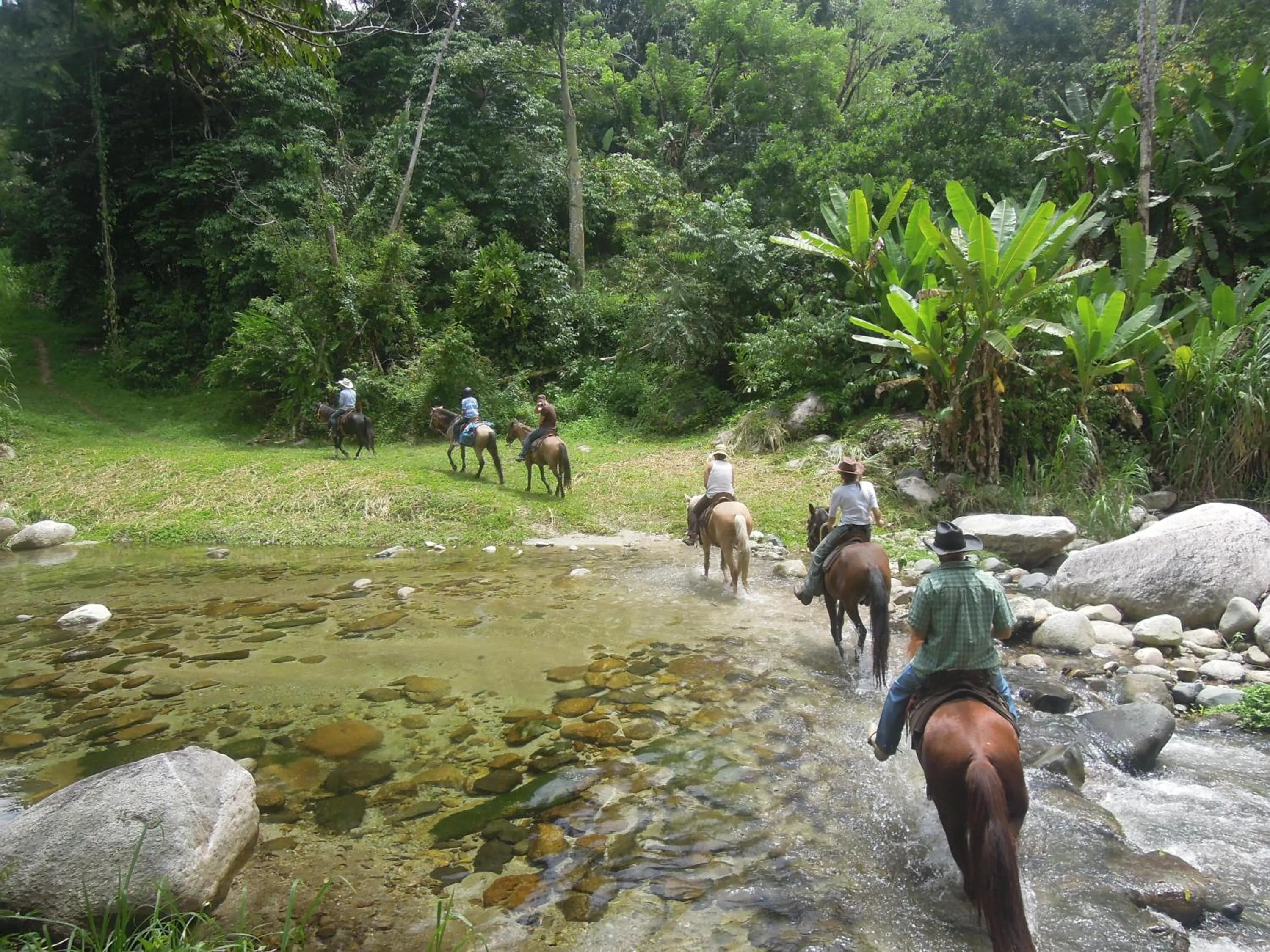 Horse-riding in Omega Tours Eco-Jungle Lodge