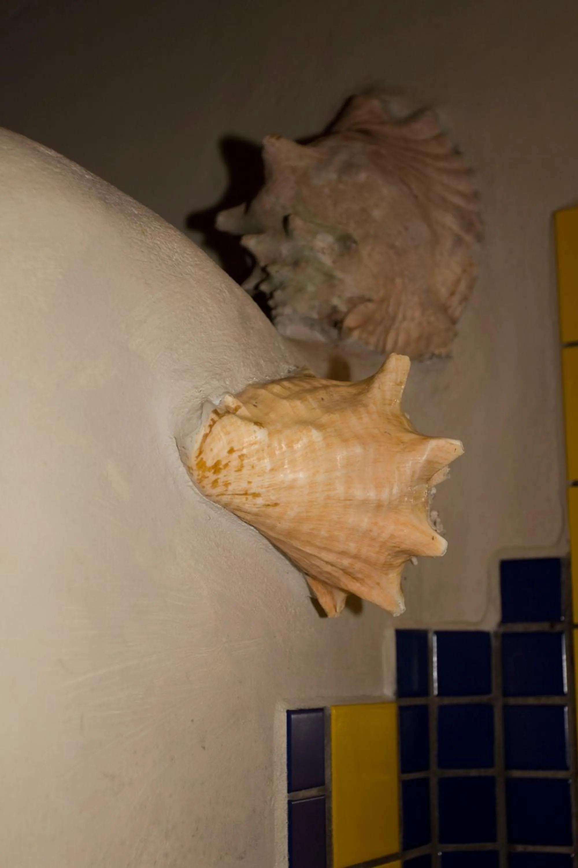 Bathroom in Omega Tours Eco-Jungle Lodge
