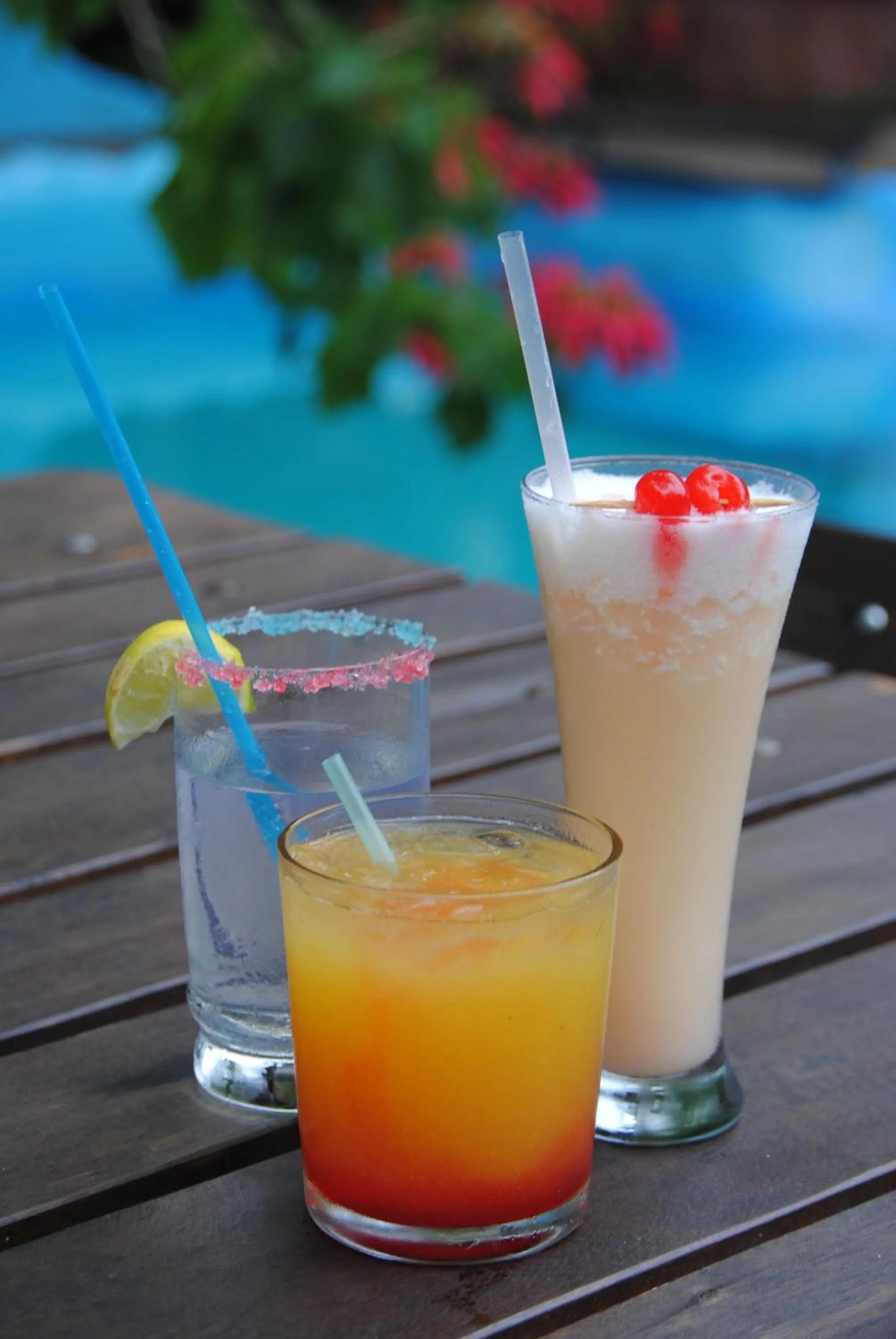 Lounge or bar in Omega Tours Eco-Jungle Lodge