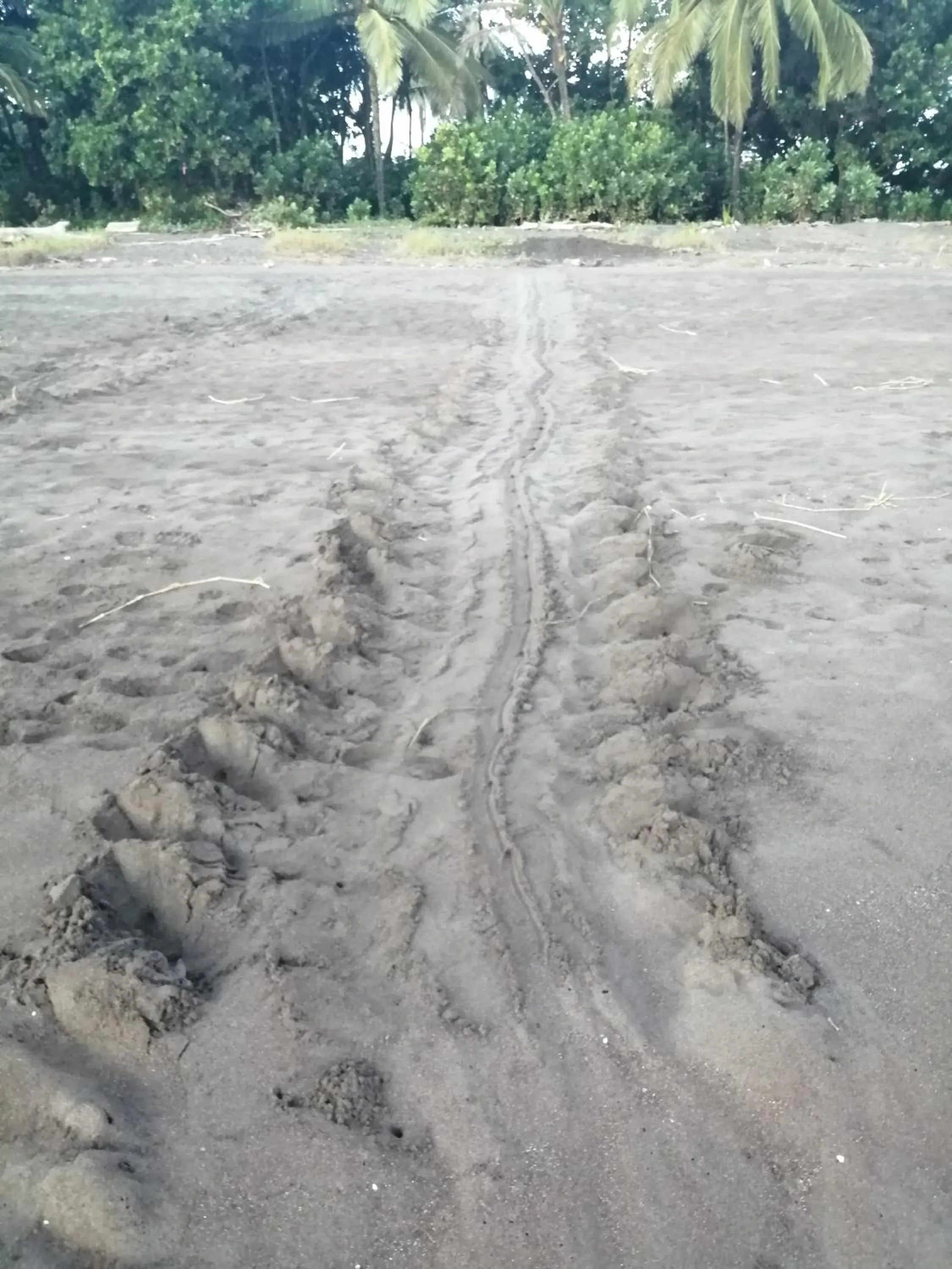 Beach in Hospedaje Meryscar