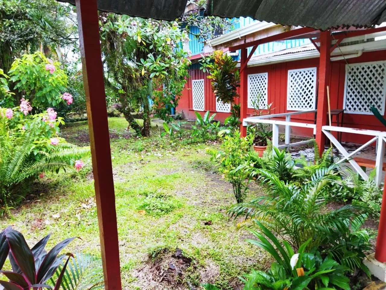 Garden view in Hospedaje Meryscar