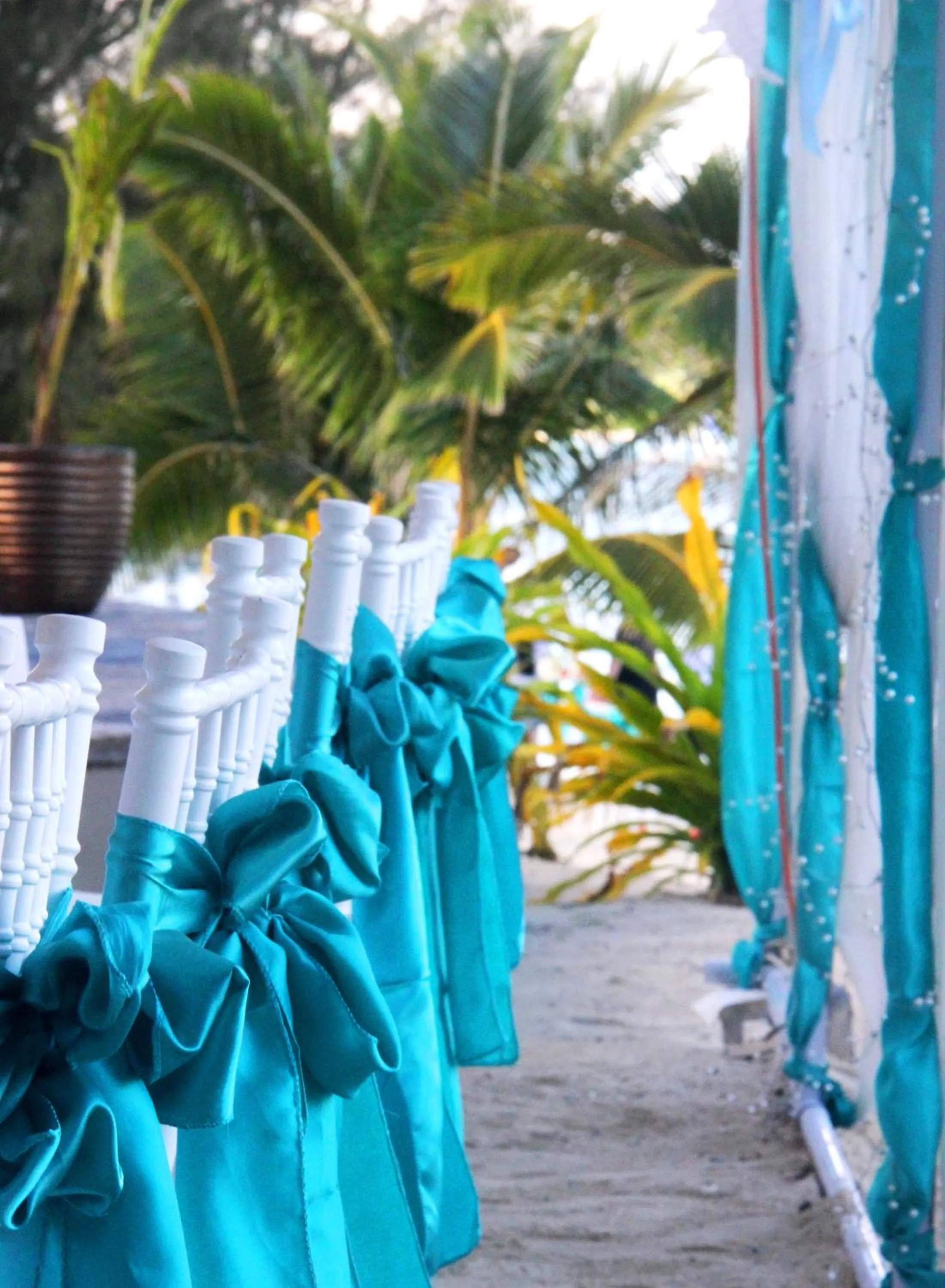 Restaurant/places to eat in Nautilus Resort