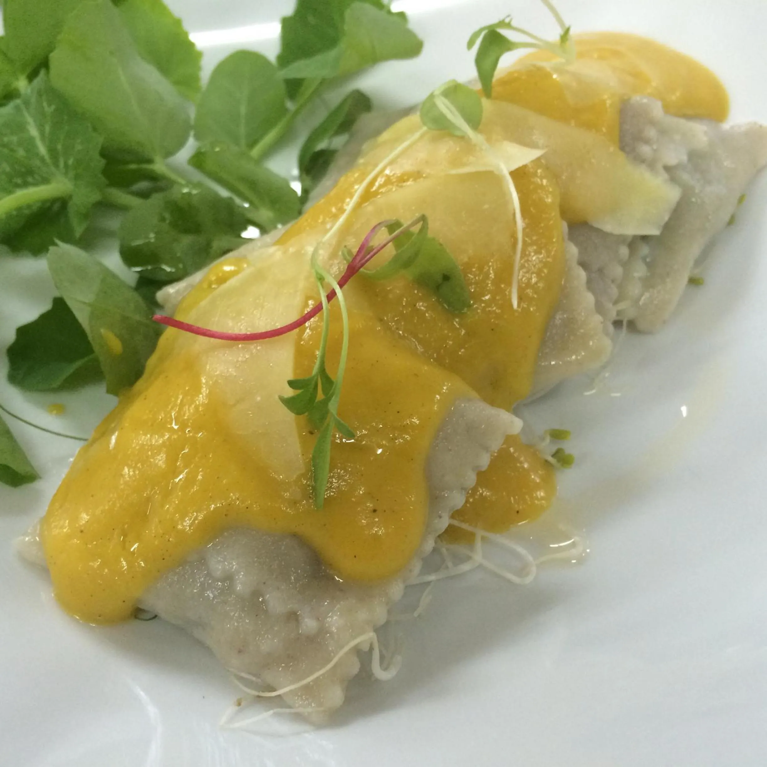 Food and drinks in Nautilus Resort