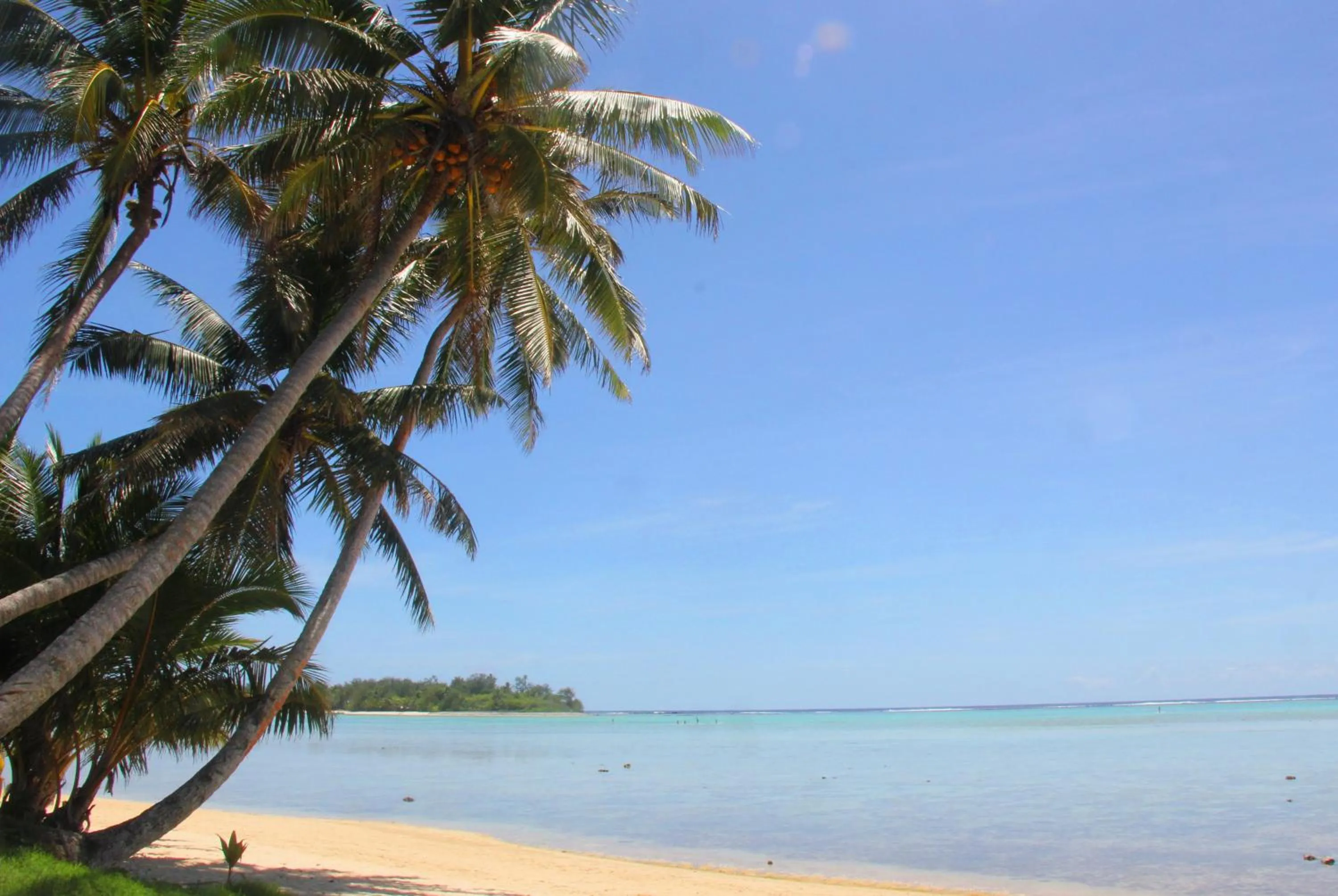 Nearby landmark in Nautilus Resort