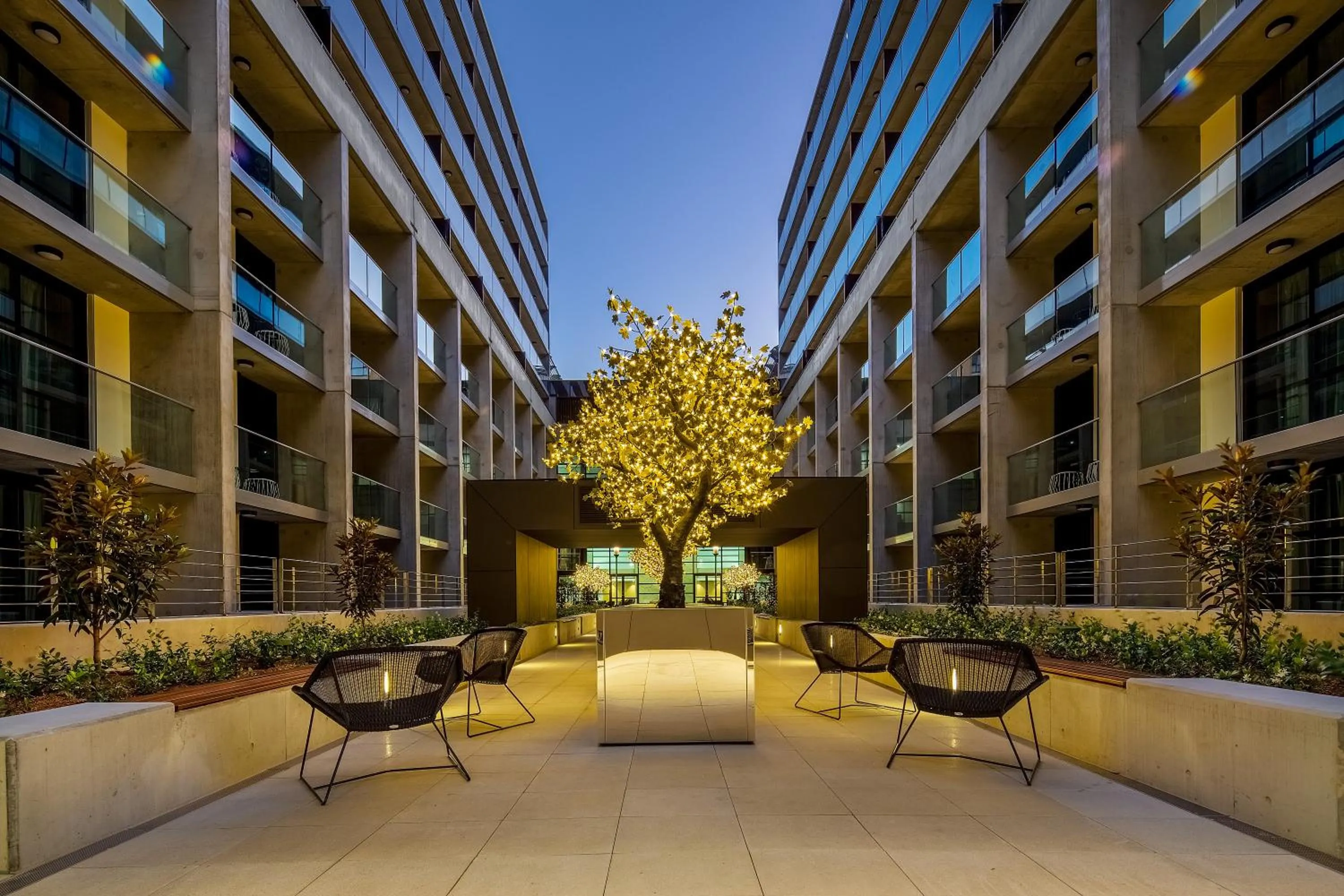 Garden in Avenue Hotel Canberra