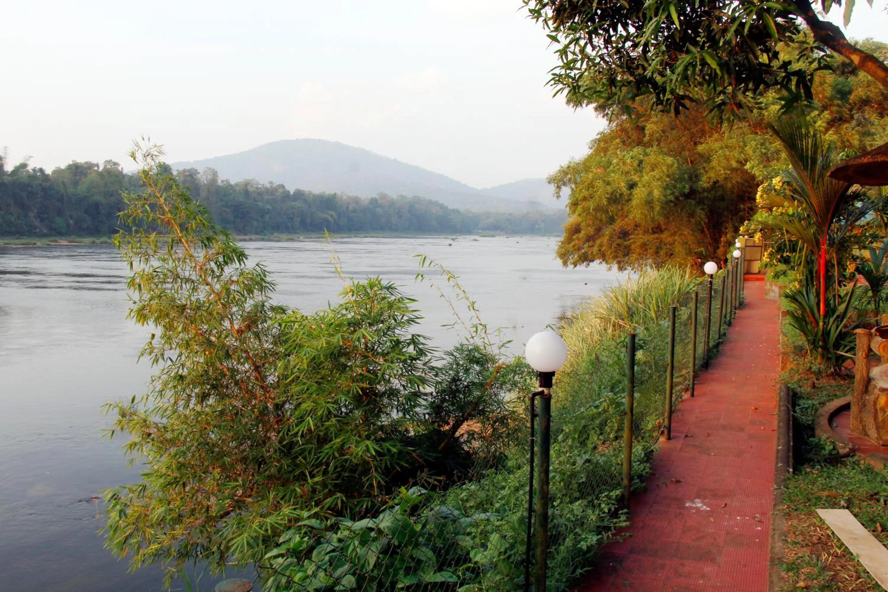 Garden view in Elephant Pass Ayurveda & Yoga Retreat