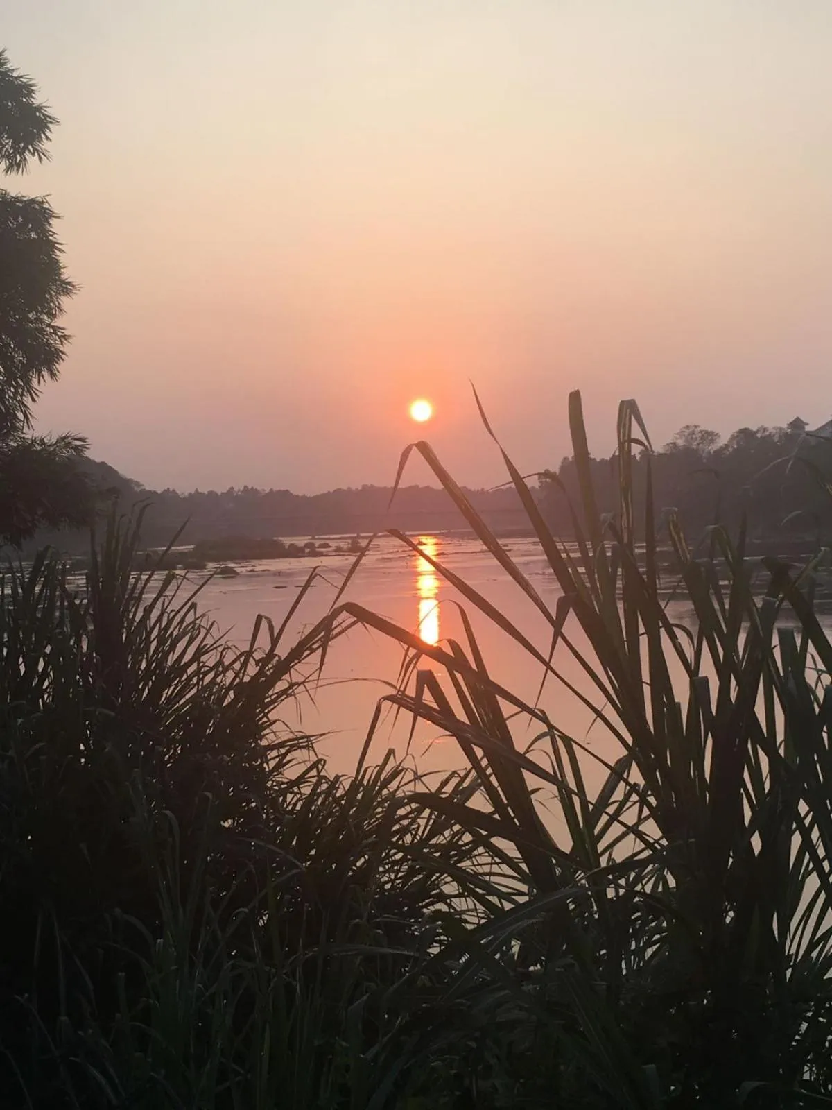 Natural landscape in Elephant Pass Ayurveda & Yoga Retreat