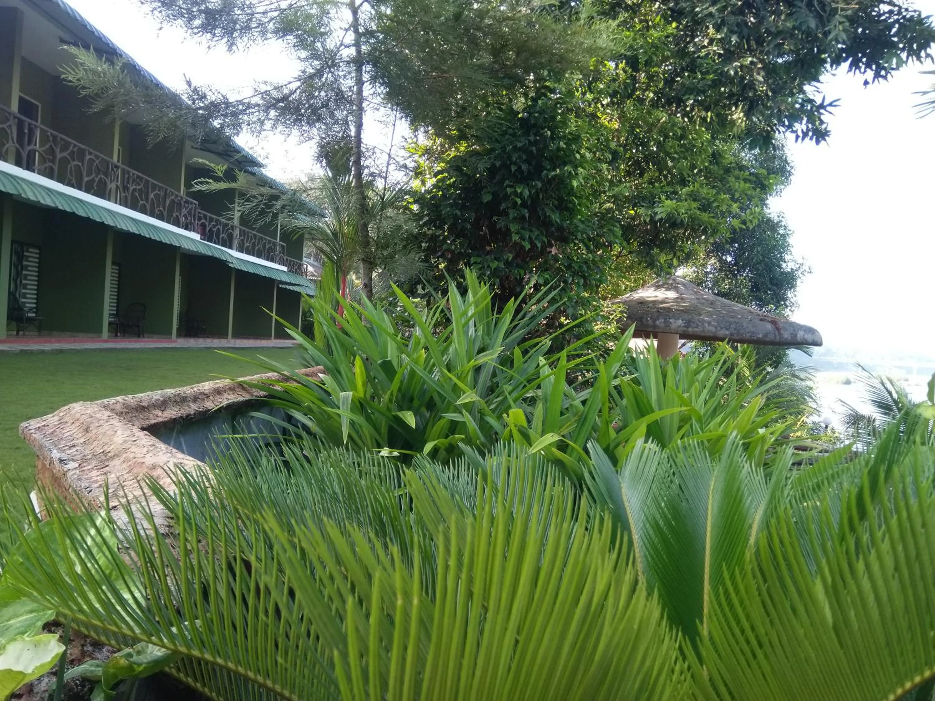 Garden in Elephant Pass Ayurveda & Yoga Retreat