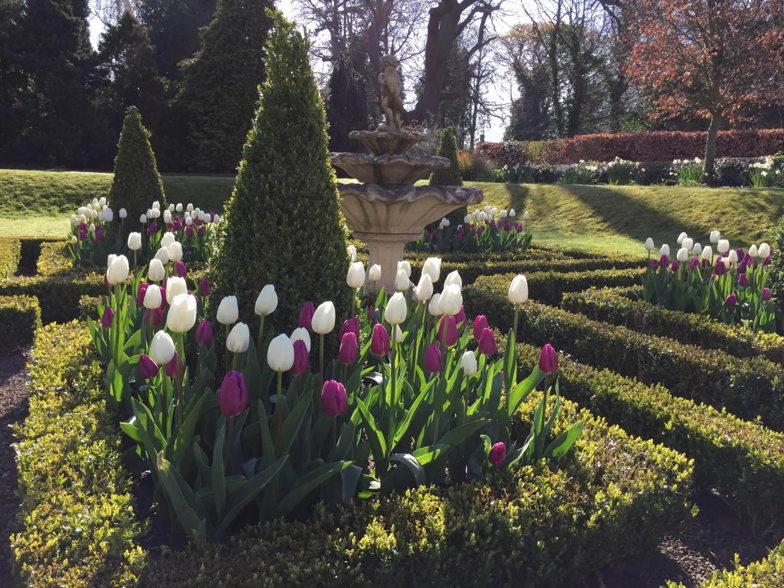 Garden in The Parsonage Hotel & Spa