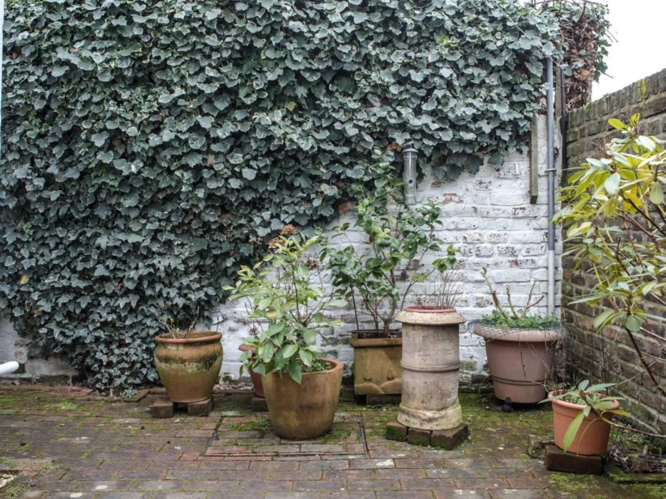 Patio in The Blue House