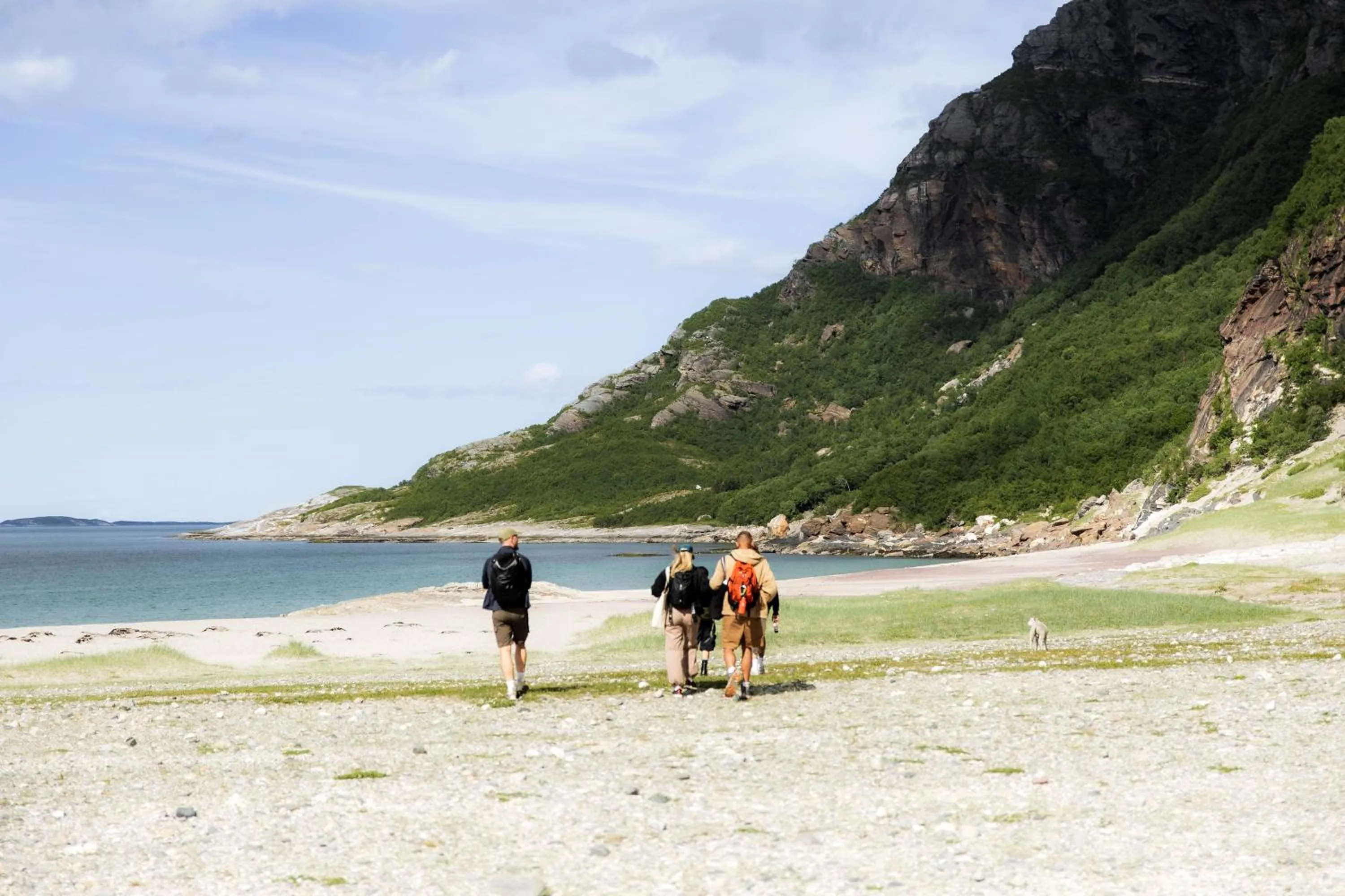 Off site in Wood Hotel Bodø