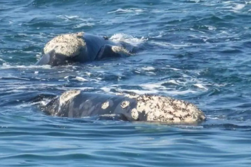 Natural landscape in 65onCliff