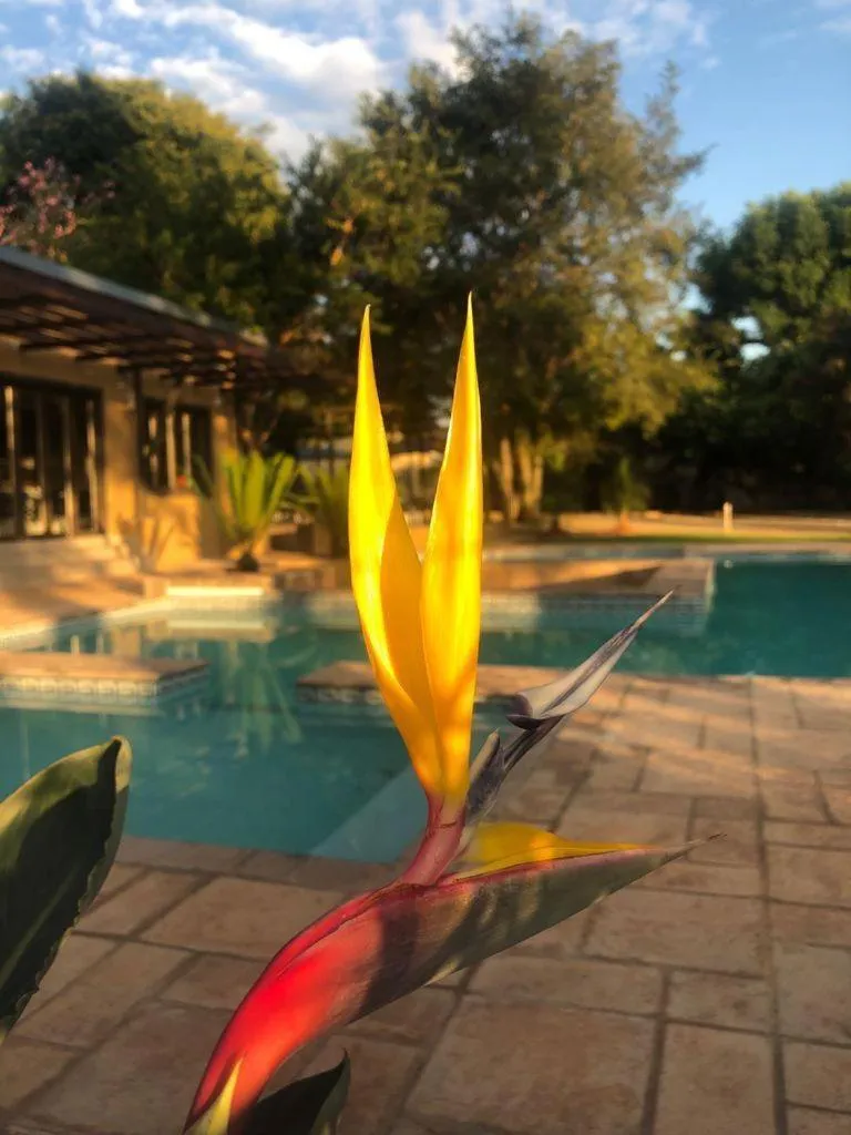 Property building in Manor Hills Guest Lodge