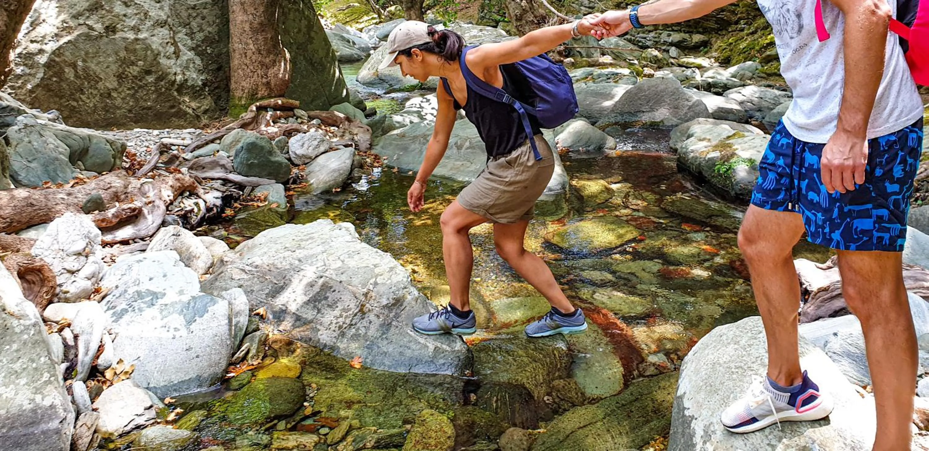 Villa Fiamegou Andros