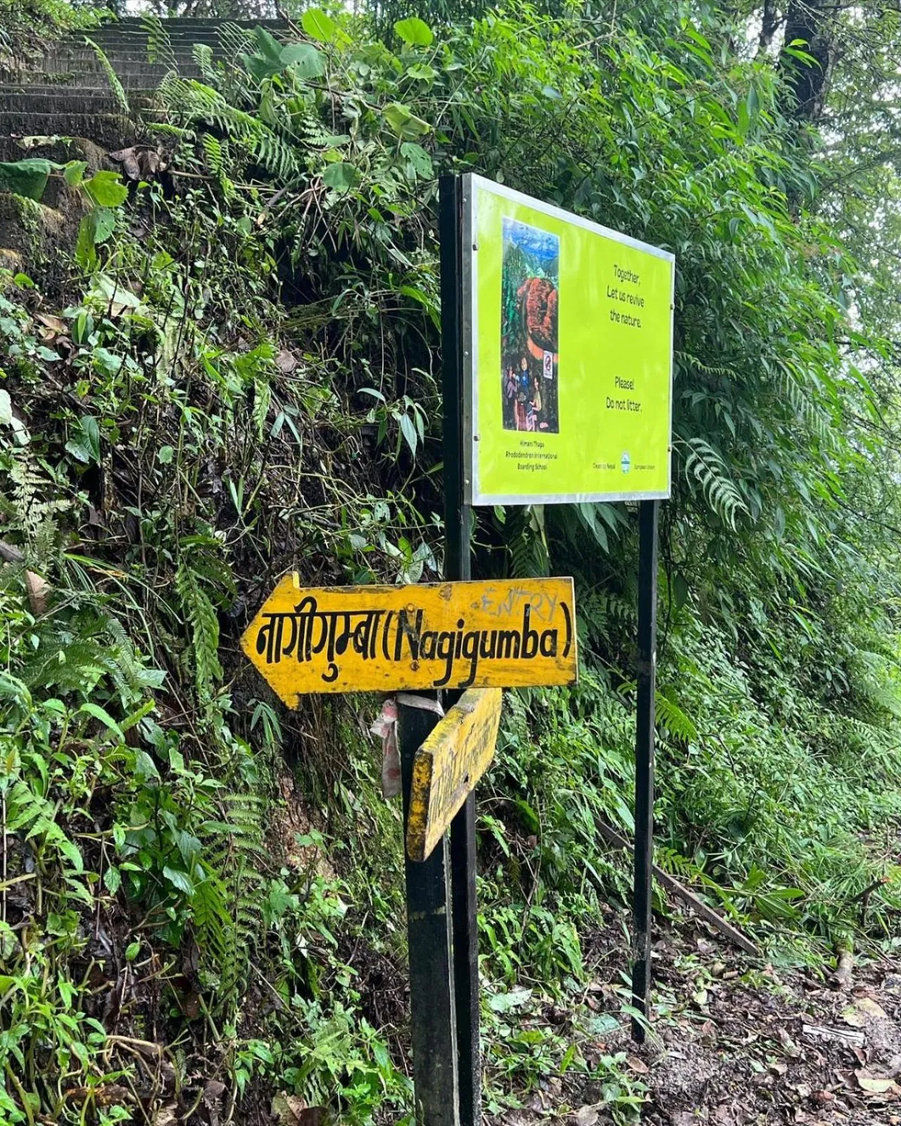 Hiking in Lemon Tree Premier Budhanilkantha Kathmandu, Nepal