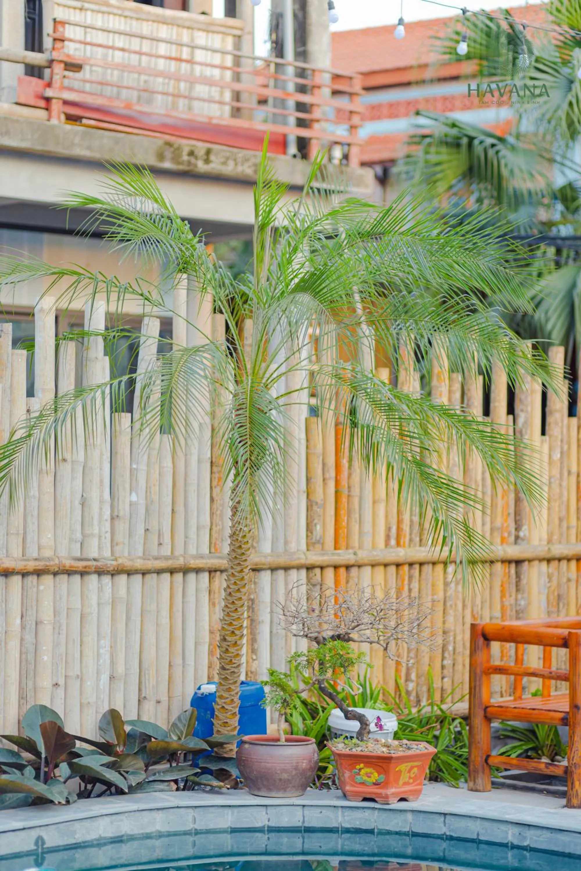 Havana Tam Coc Ninh Binh