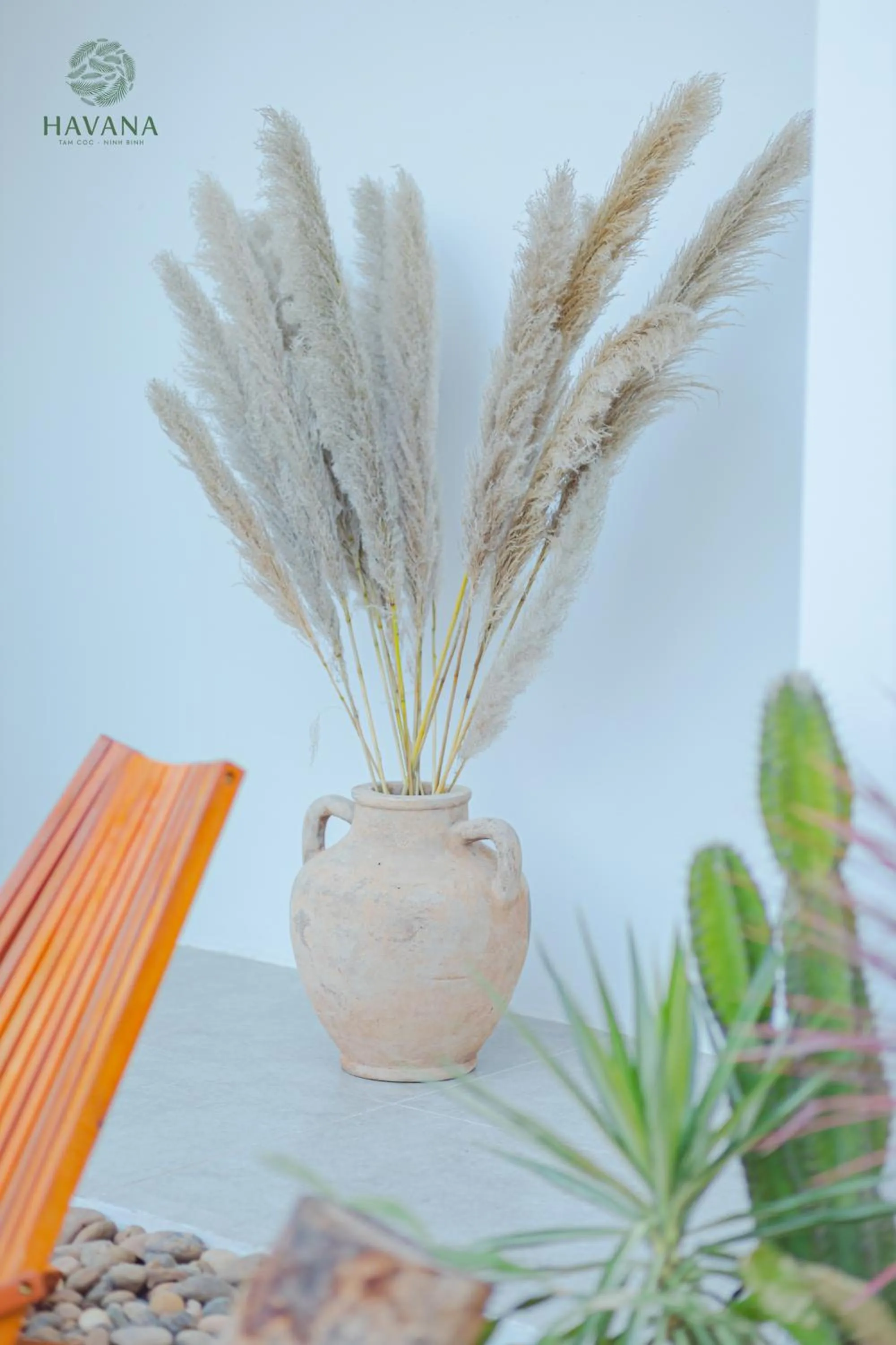 Havana Tam Coc Ninh Binh